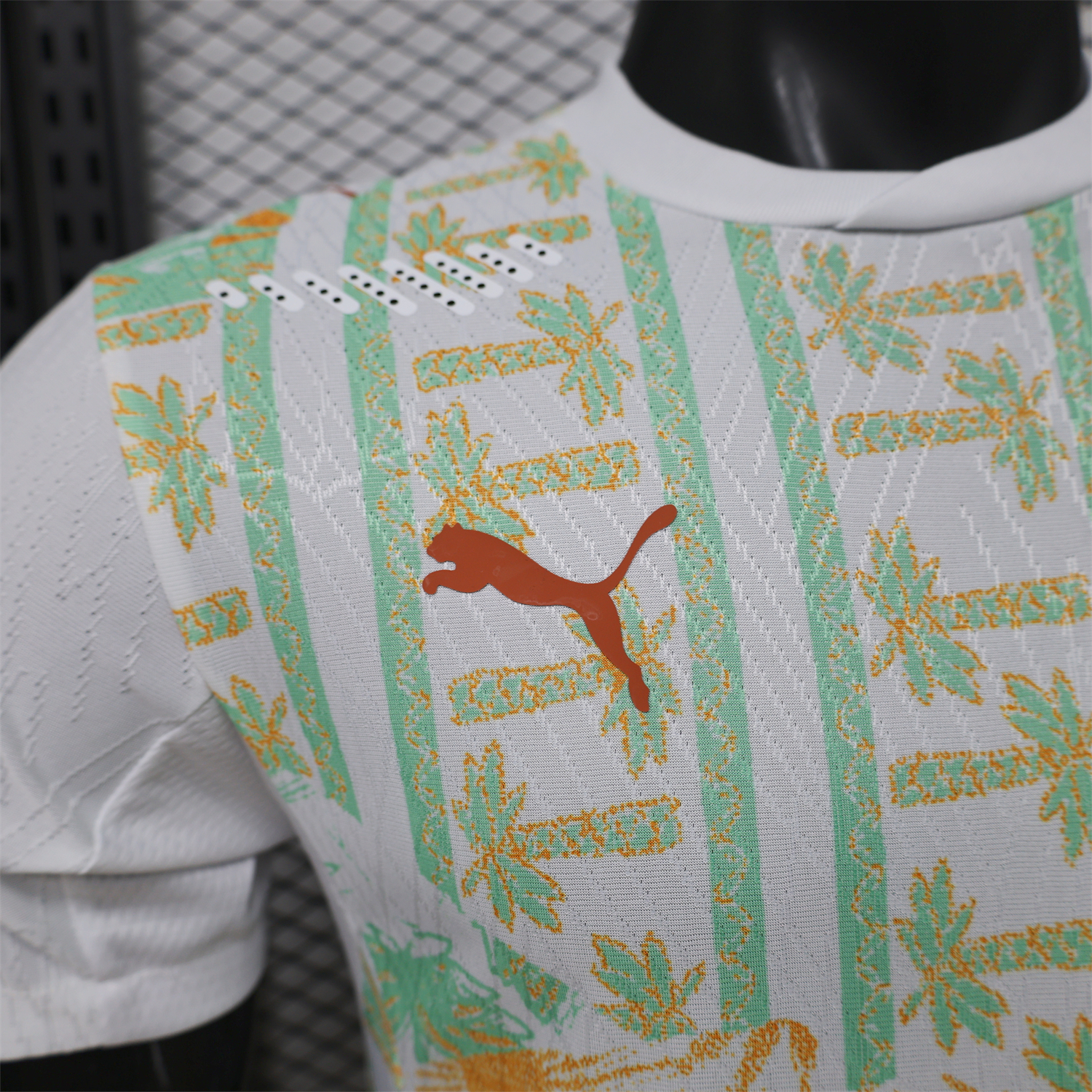 AlphaJersey-Ivory Coast 2026 Away Jersey - Player Version