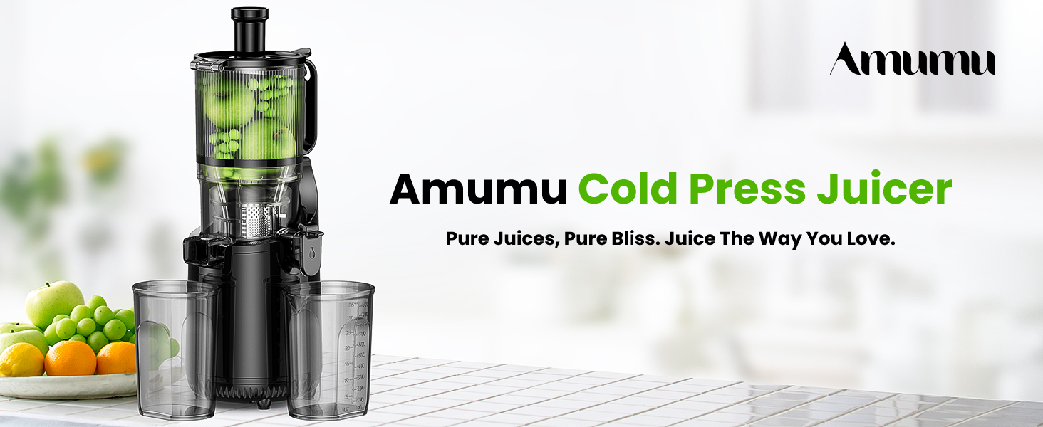 juicer machines juicer cold press juicer juicer machines cold pressed masticating juicer slow 
