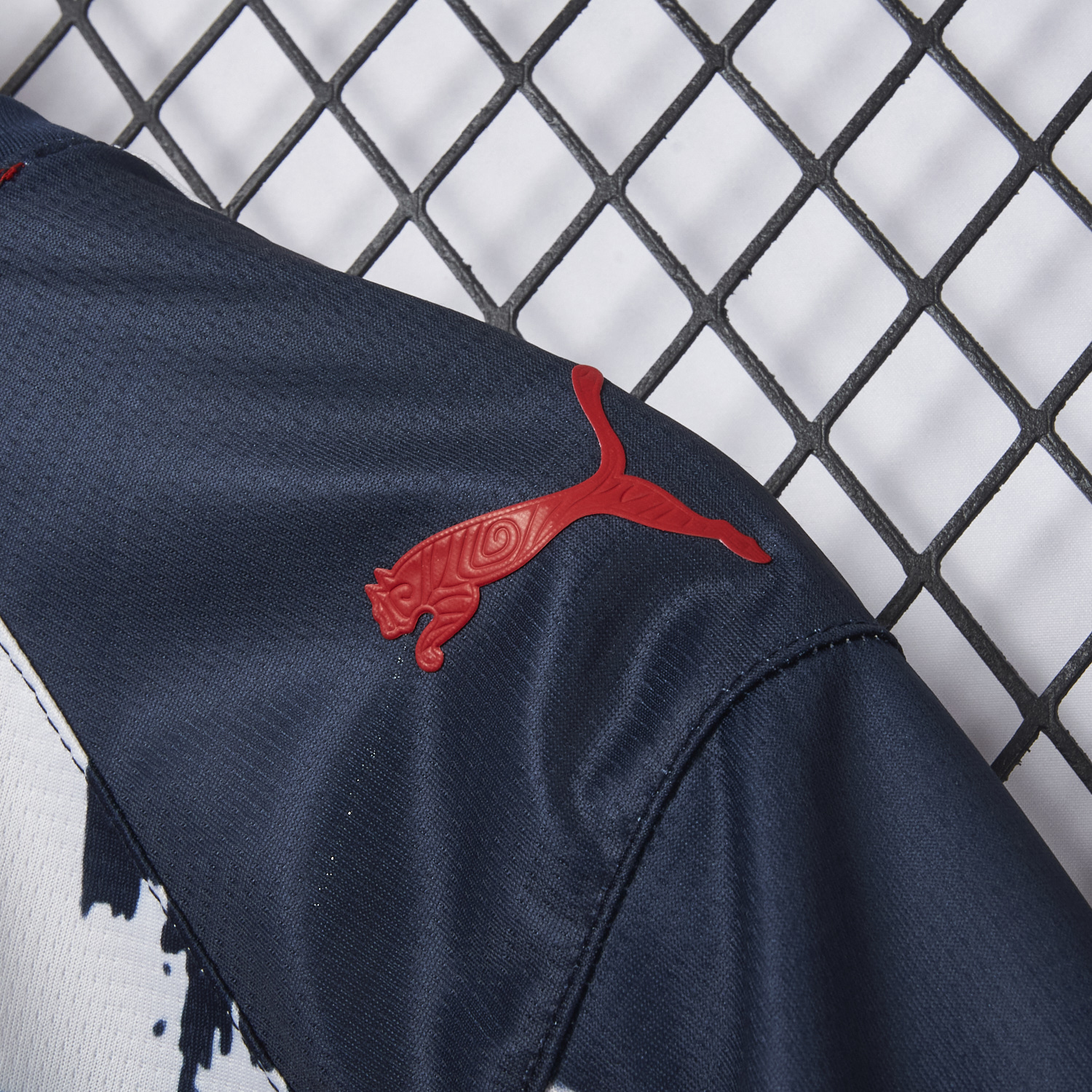 AlphaJersey-Rayados Monterrey 25-26 Home Stripes Jersey - Fans Version