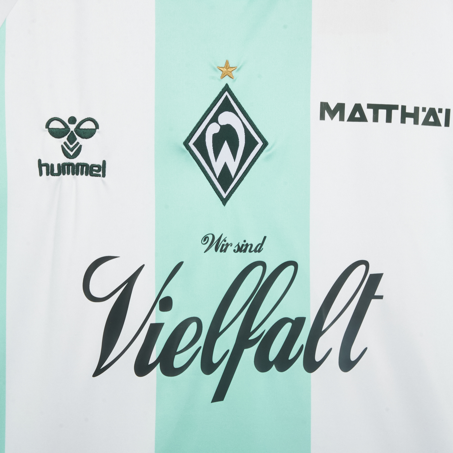 AlphaJersey-Werder Bremen 25-26 Green And White Special Jersey - Fans Version