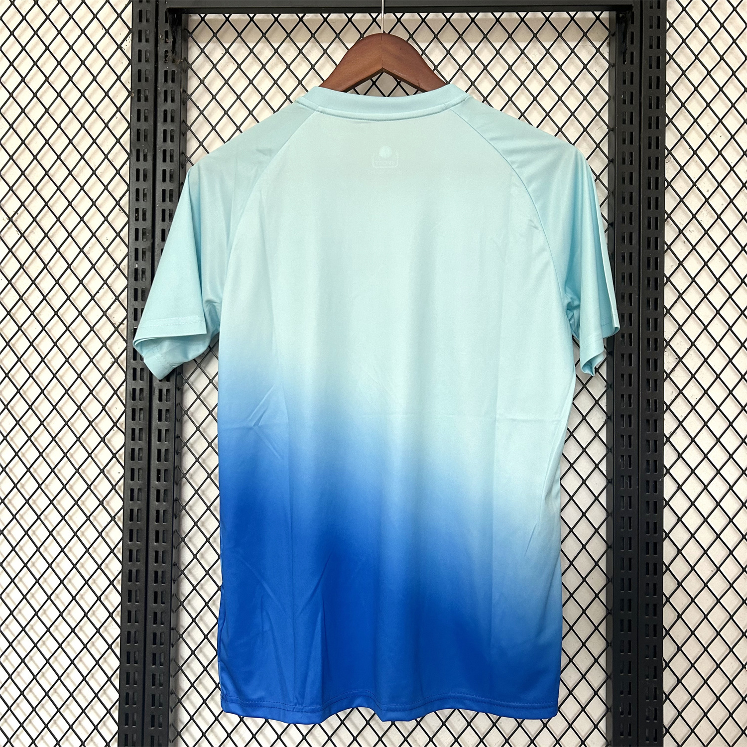 AlphaJersey-Algeria 25-26 Blue Green Gradient Auspicious Cloud Pattern Special Jersey - Fans Version