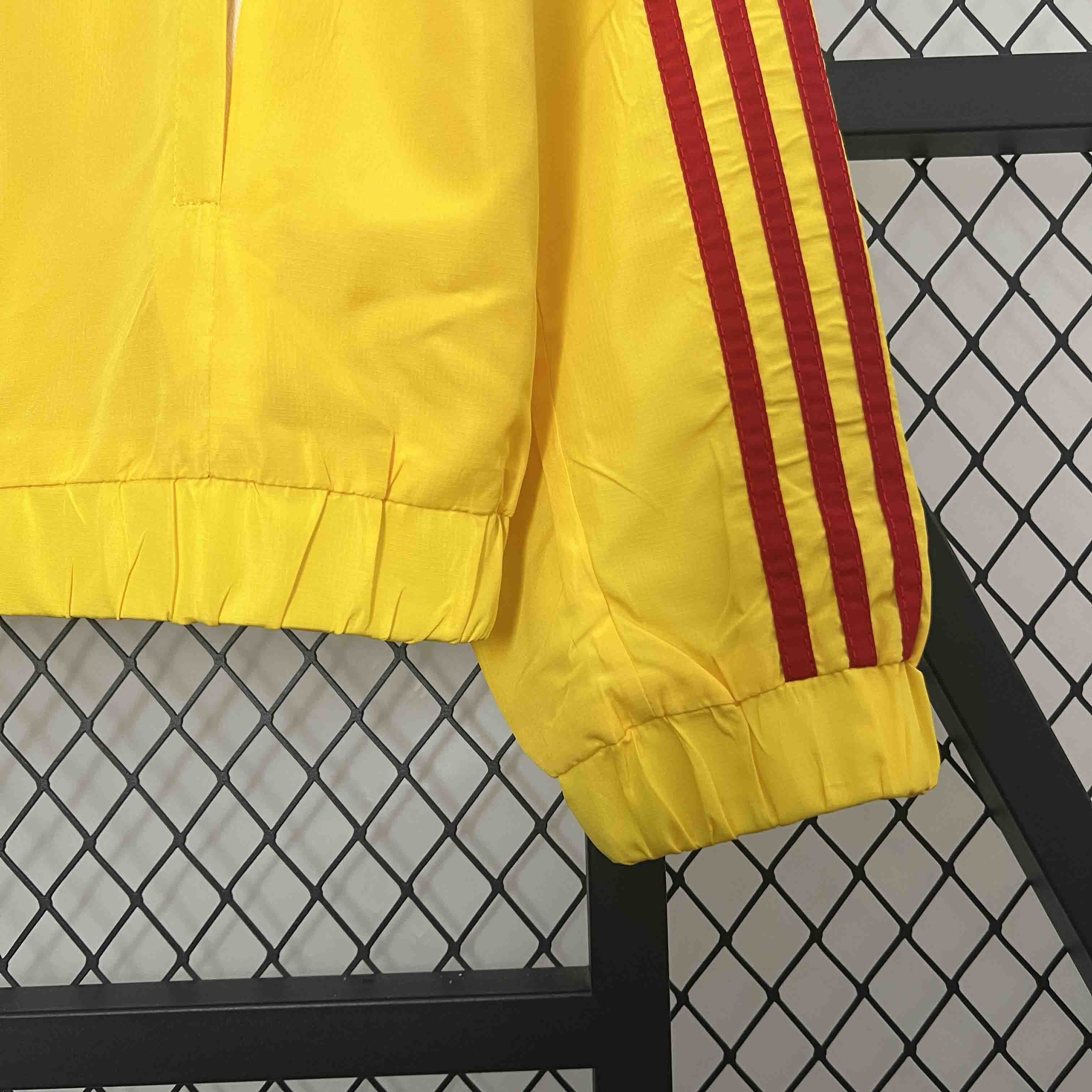 AlphaJersey-Colombia 2024 Yellow Windbreaker