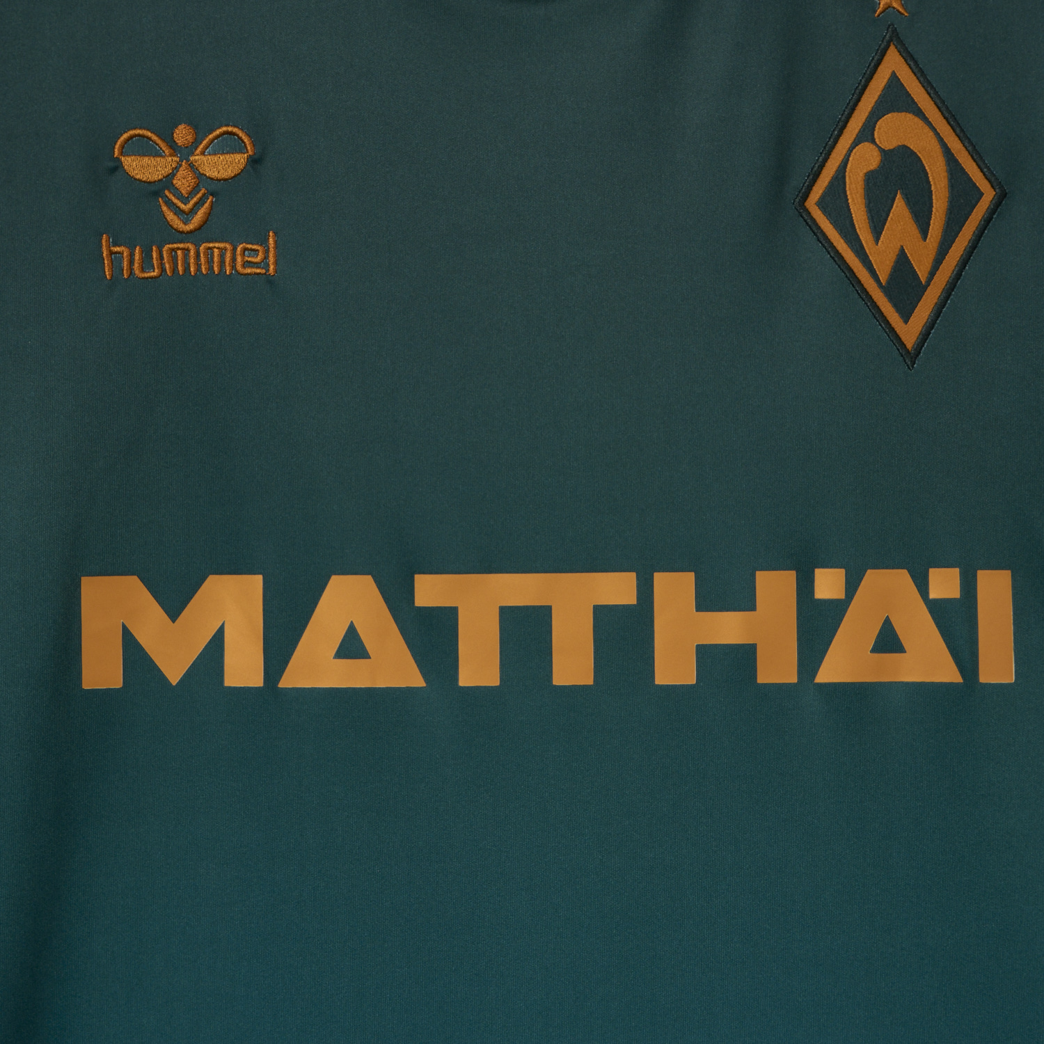 AlphaJersey-Werder Bremen 25-26 Third Jersey - Fans Version