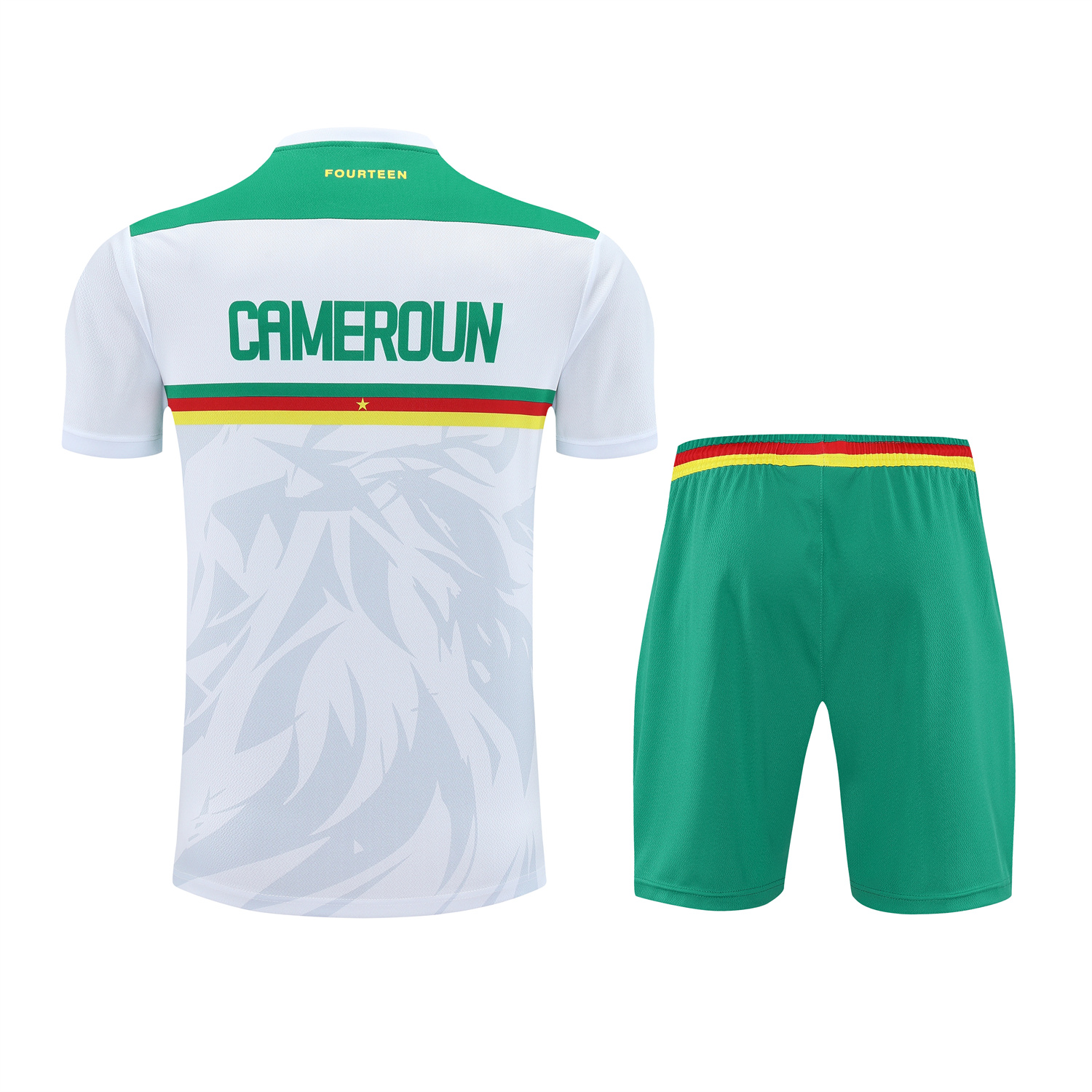 AlphaJersey-Cameroon 25-26 Short-Sleeve Training Set - White Top and Green Shorts
