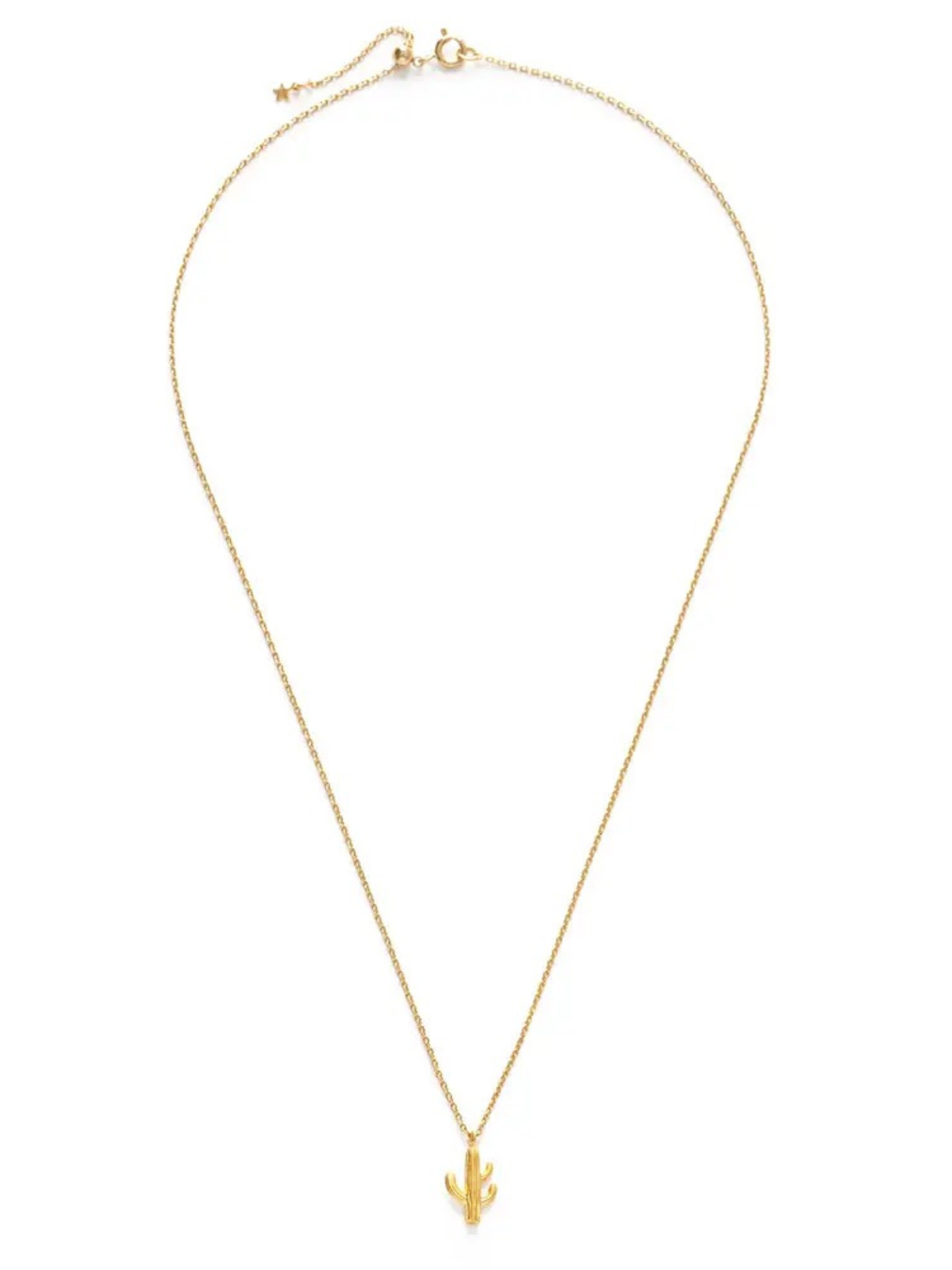 Saguaro Necklace | Elegant Women's Fashion by coolavocek