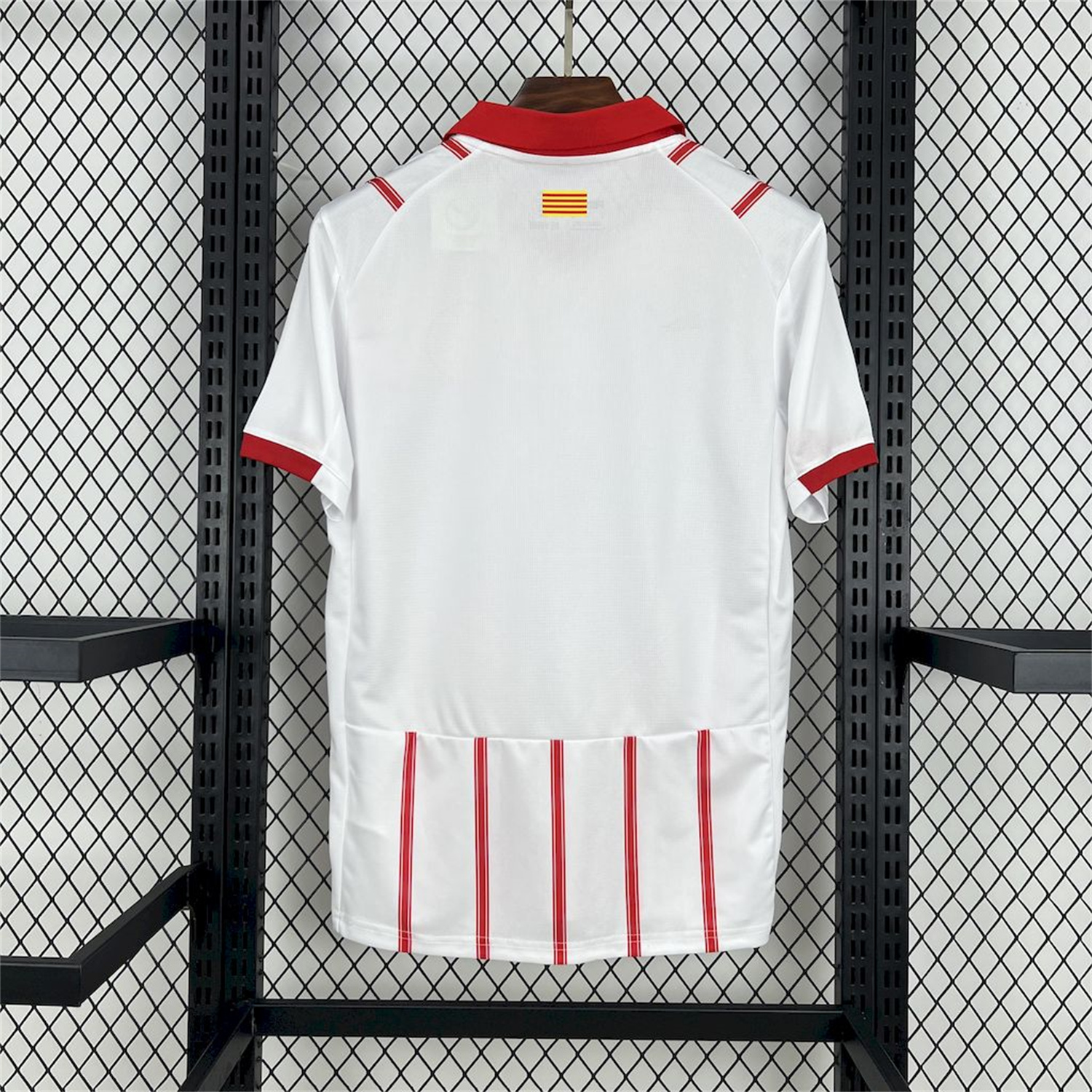 AlphaJersey-Girona 25-26 Home Jersey - Fans Version