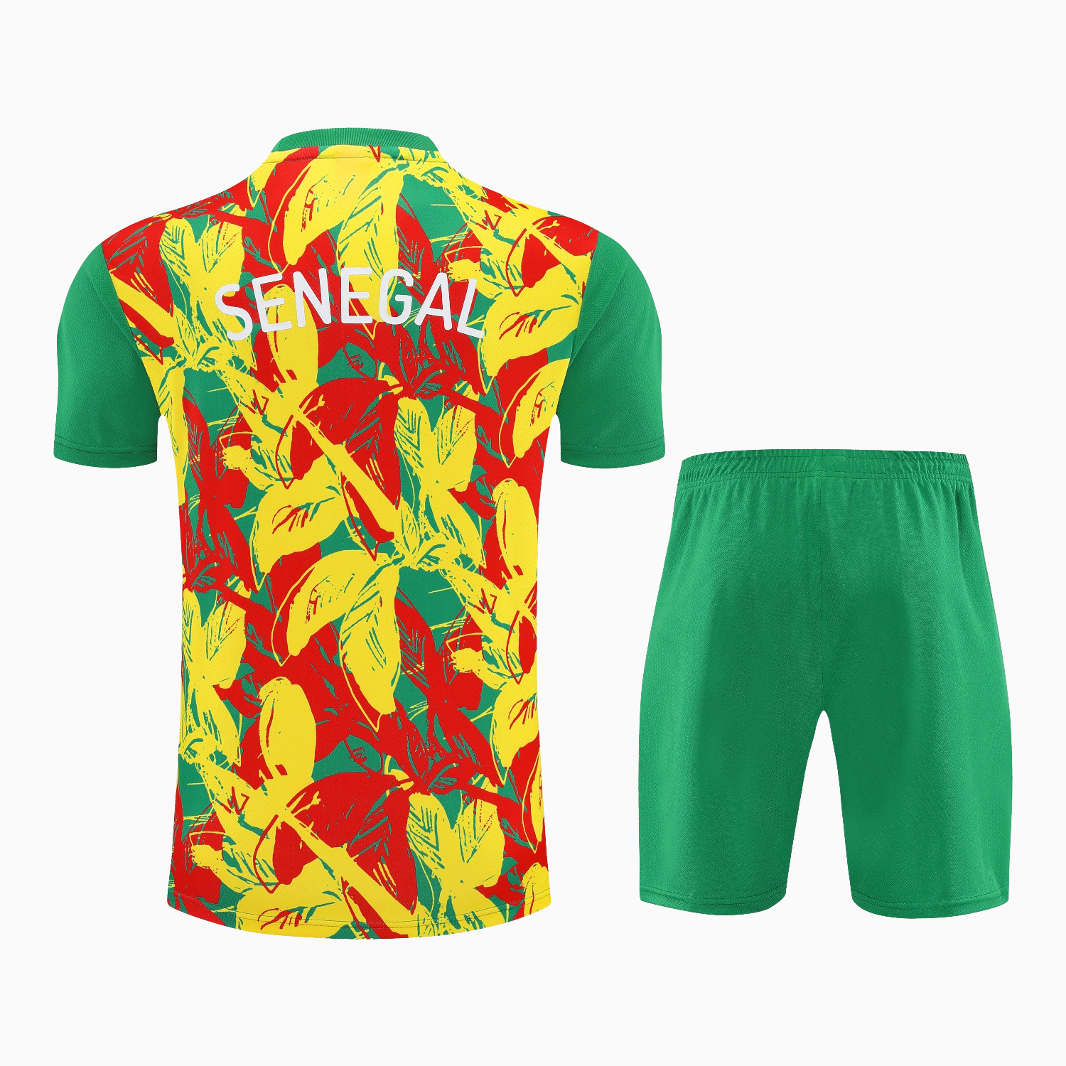 AlphaJersey-Senegal 2026 Short-Sleeve Training Set - Variegated Top and Green Shorts