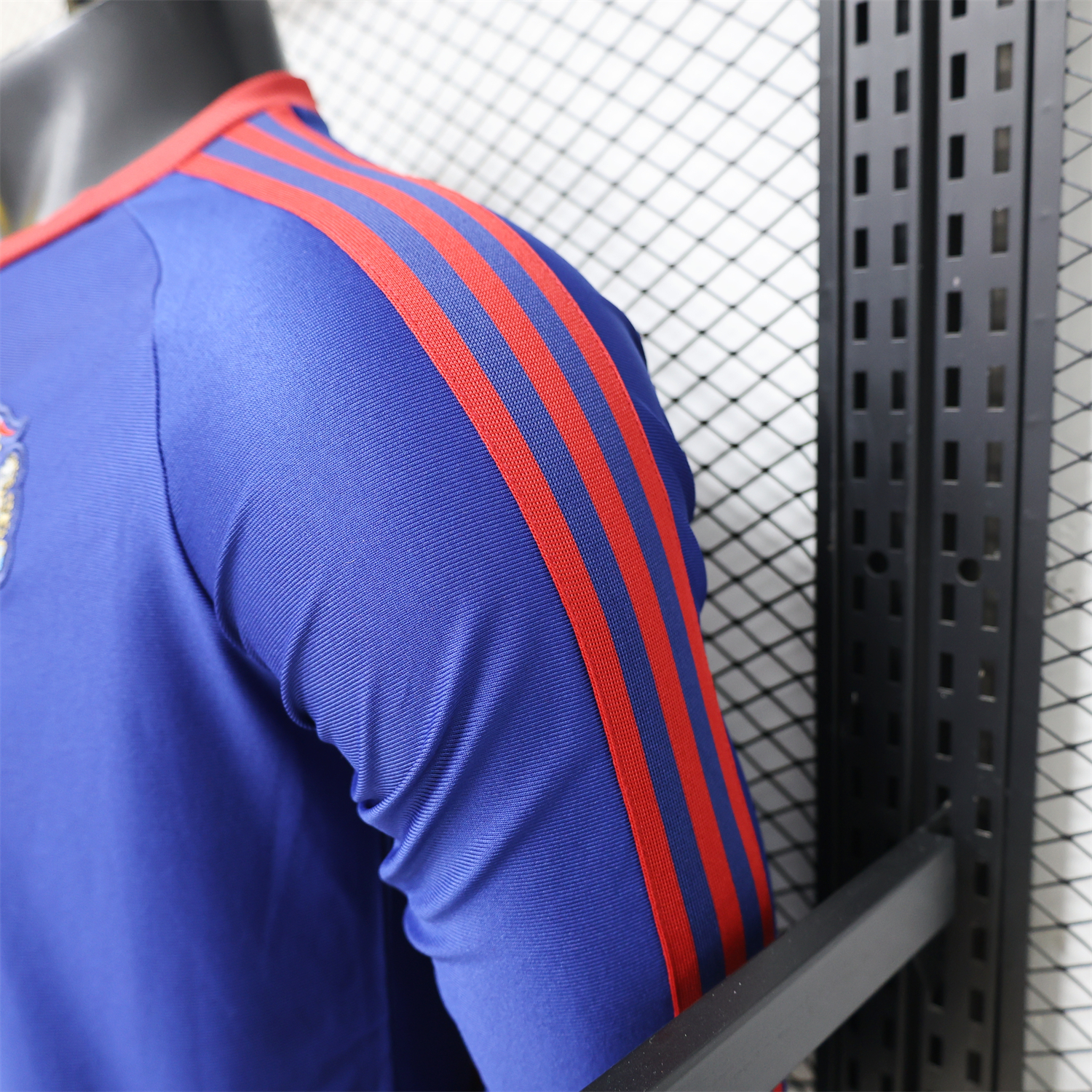 AlphaJersey-Newcastle United 25-26 Purple-Blue Casual Long Sleeves Jersey - Player Version