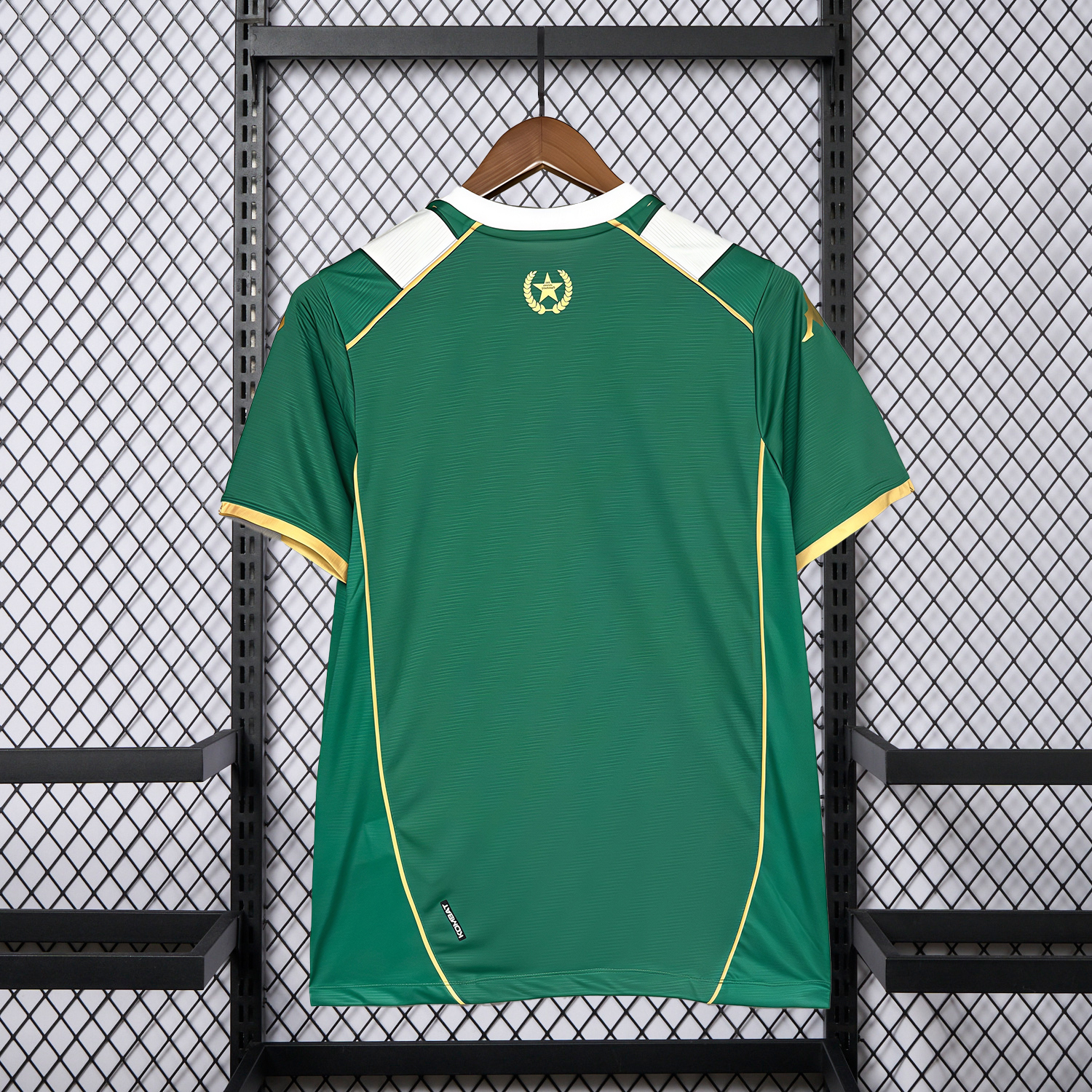 AlphaJersey-Chapecoense 26-27 Home Jersey - Fans Version