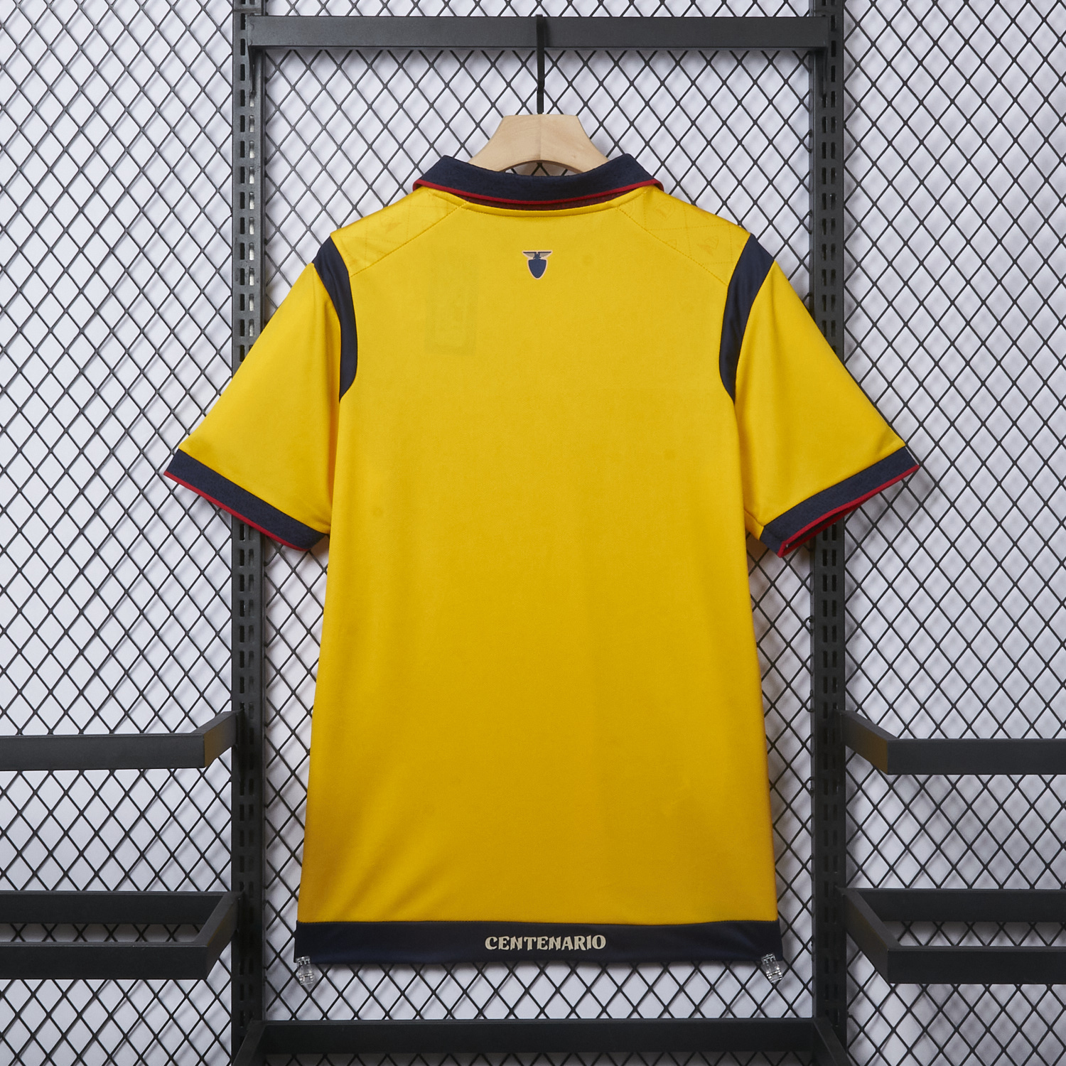 AlphaJersey-Ecuador 2025 Centenary Home Jersey - Fans Version