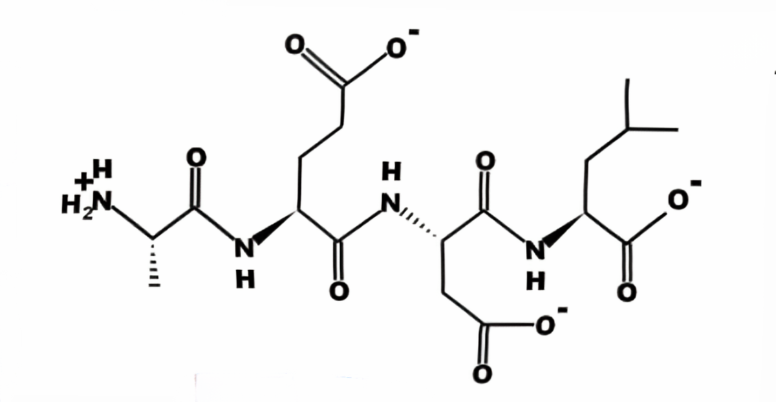 1-Bronchogen