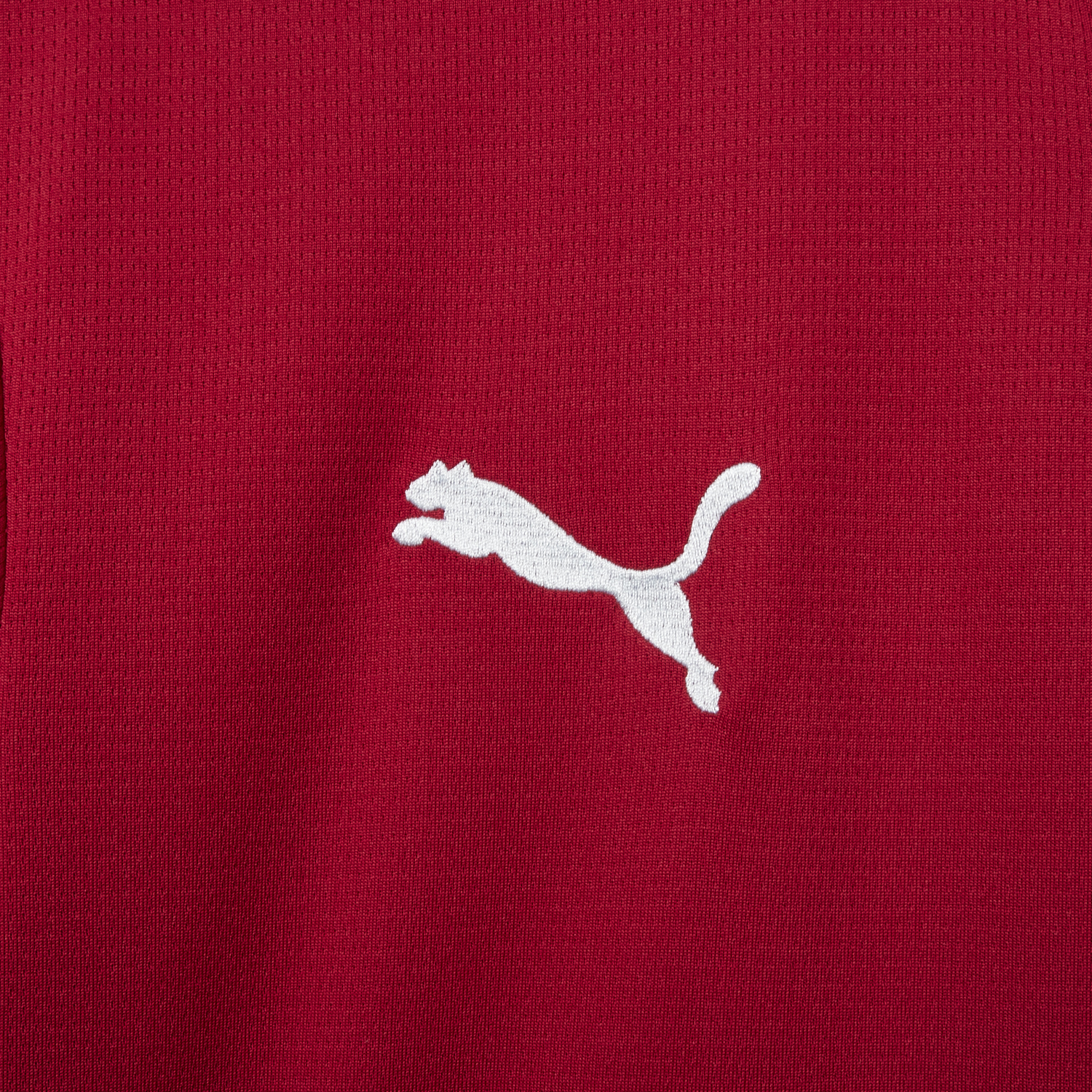 AlphaJersey-Czech Republic 2026 Home Jersey - Fans Version