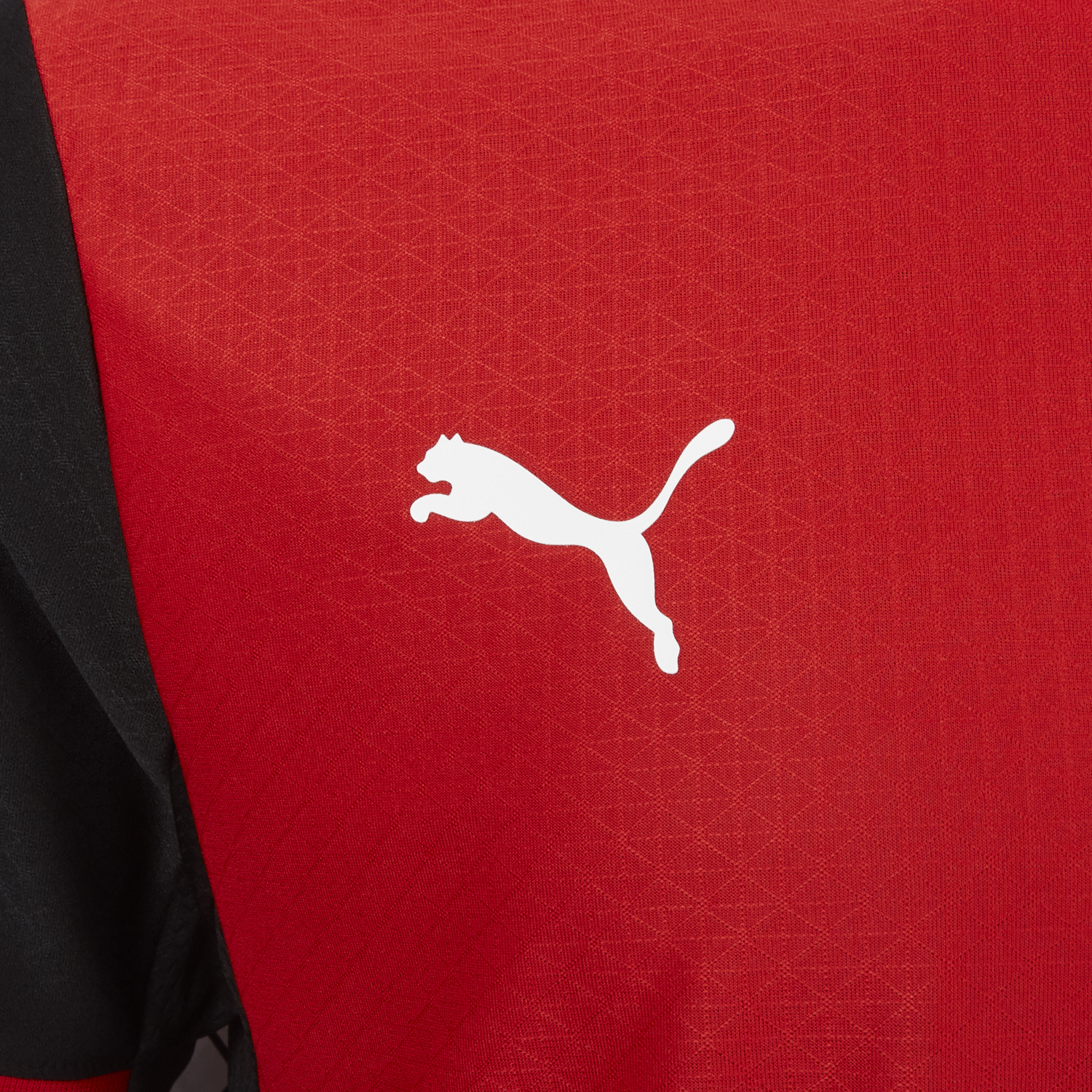 AlphaJersey-Austria 2026 Home Red Jersey - Player Version