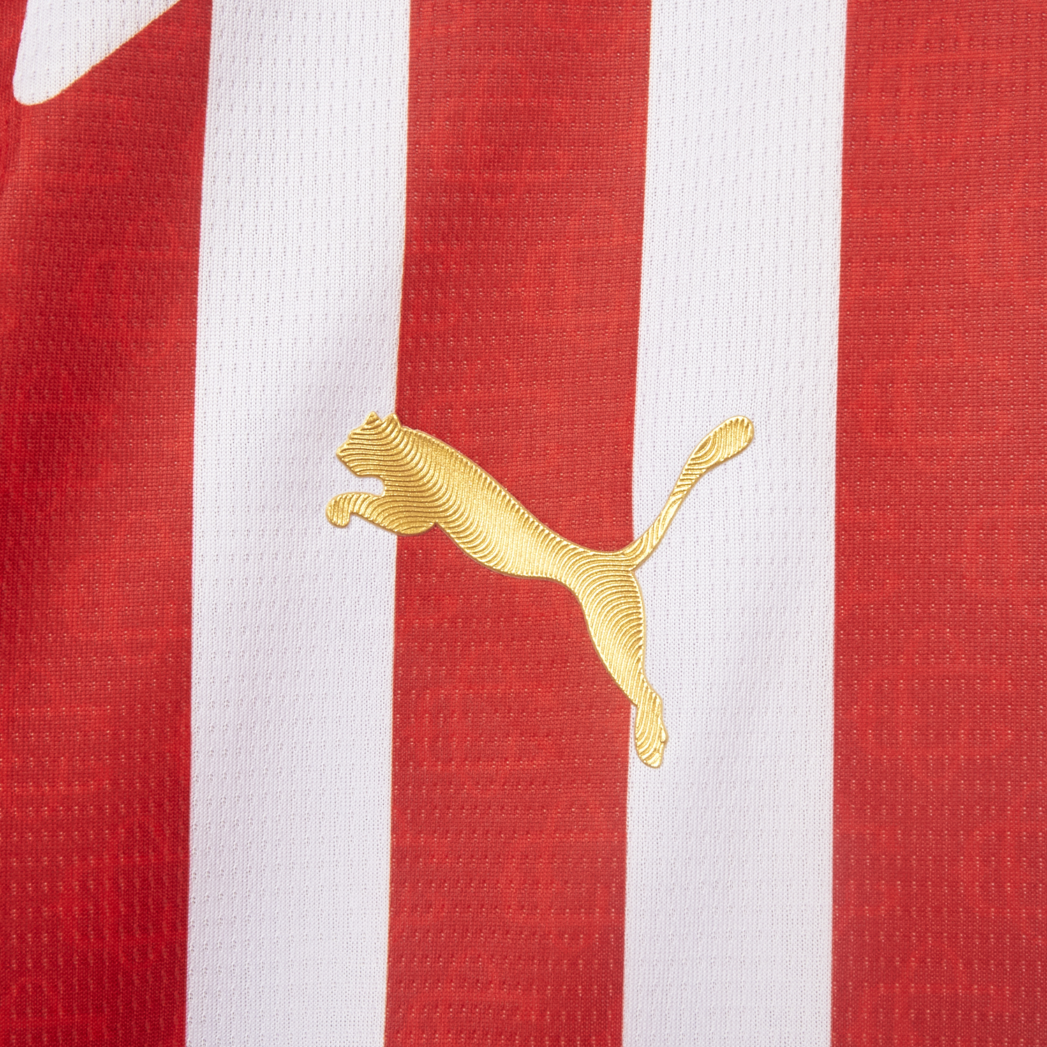 AlphaJersey-Chivas de Guadalajara 26-27 Home Jersey - Fans Version