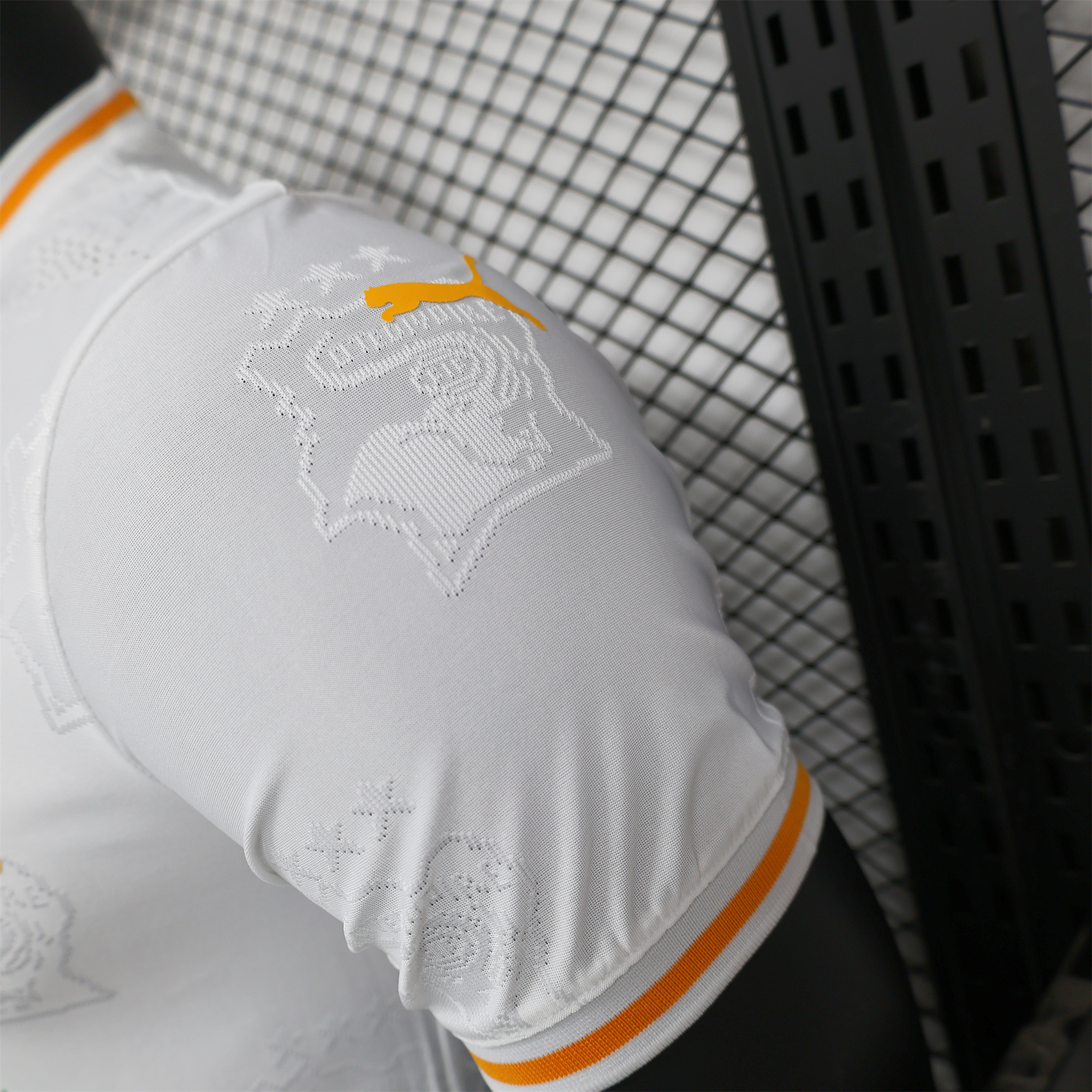 AlphaJersey-Ivory Coast 2024 White Special Edition Jersey - Player Version