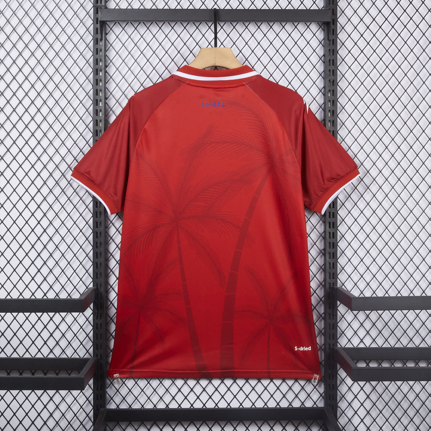 AlphaJersey-Haiti 26-27 Third Jersey - Fans Version