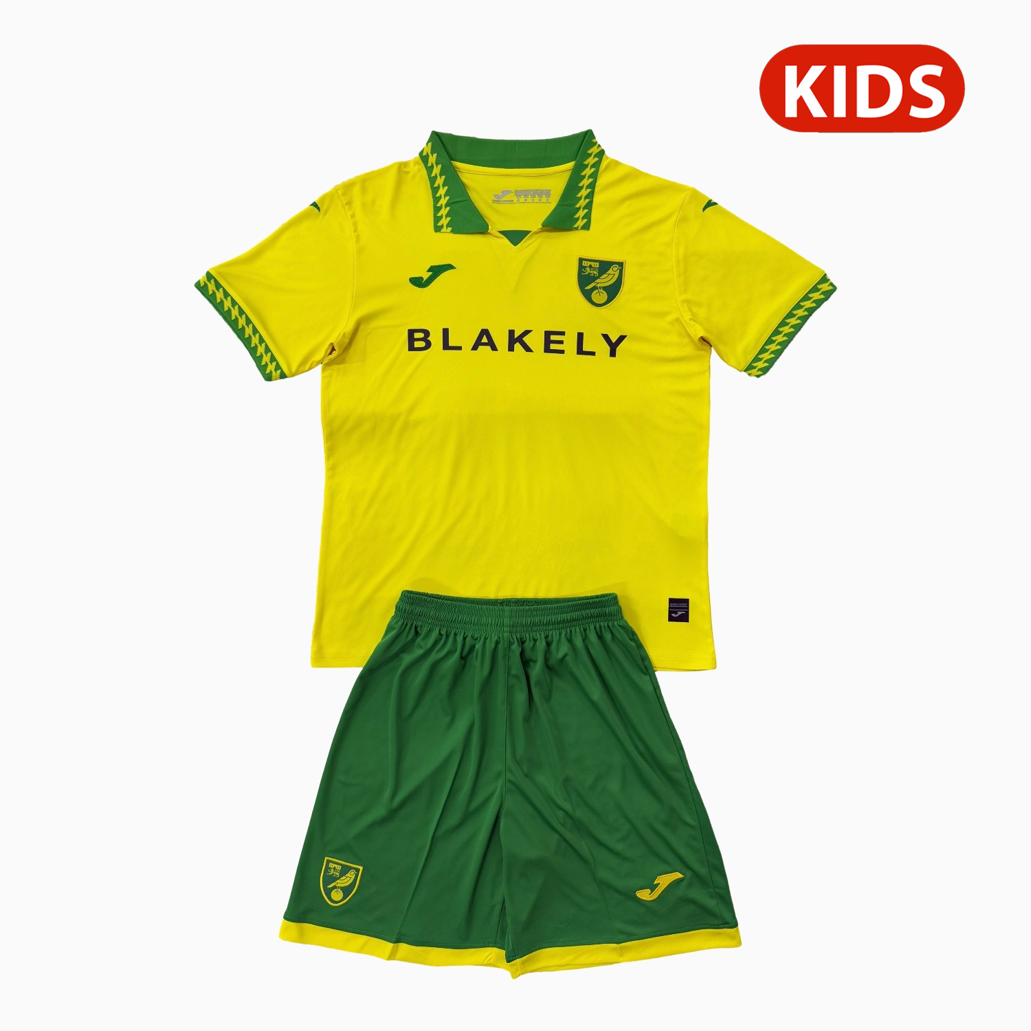 AlphaJersey-Norwich City 25-26 Home Kids Kit
