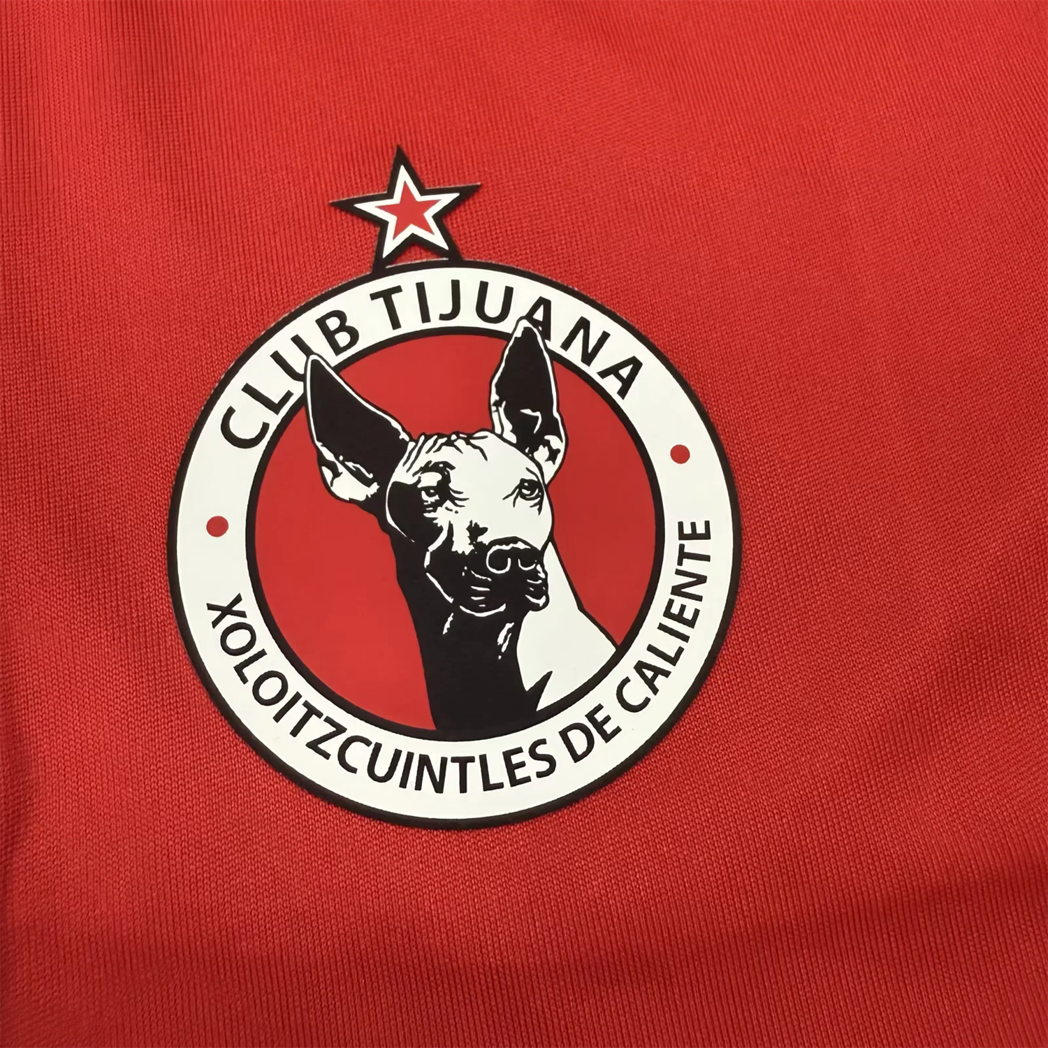 AlphaJersey-Tijuana 25-26 Home Kids Kit