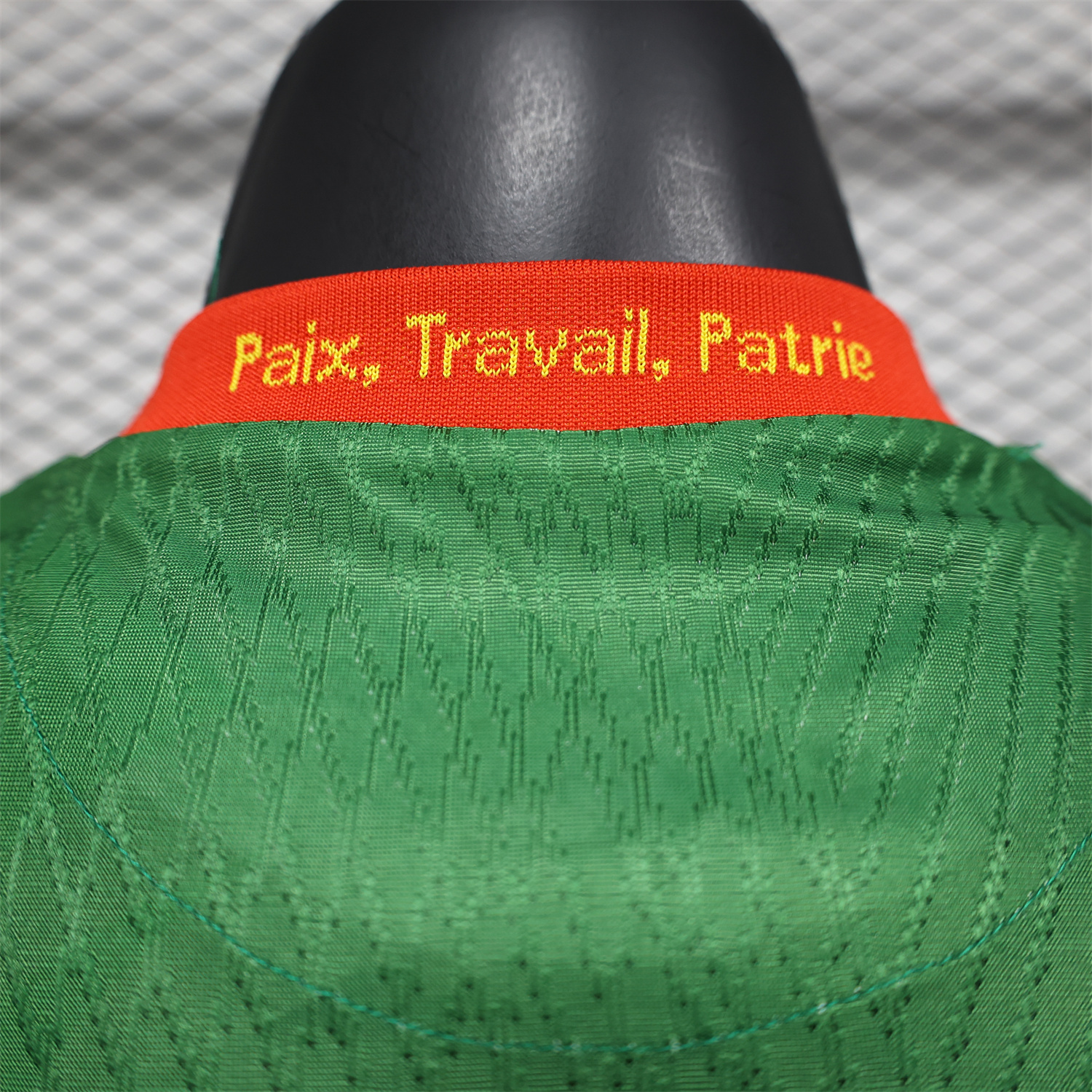 AlphaJersey-Cameroon 25-26 Home Jersey - Player Version