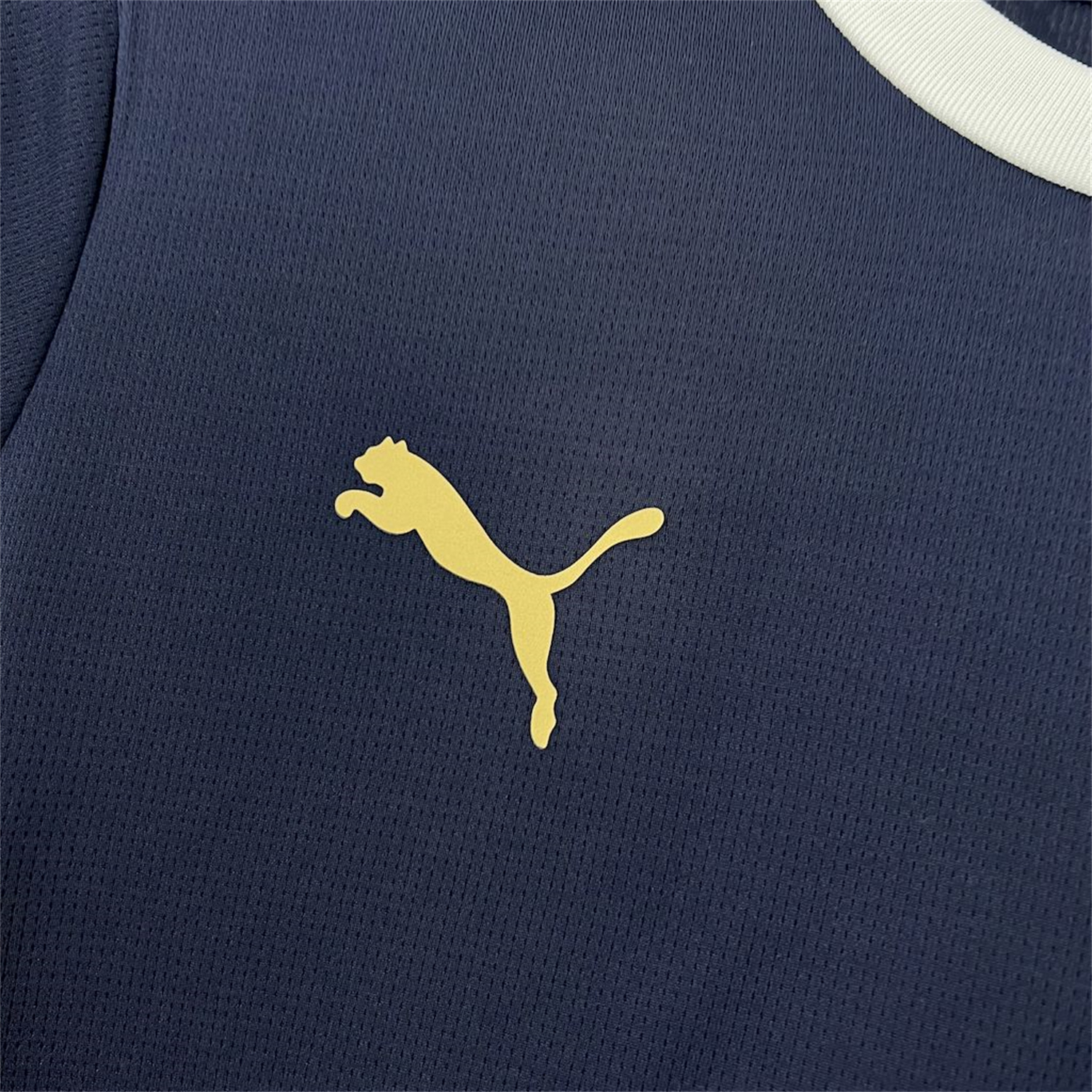 AlphaJersey-Portugal 2025-26 Royal Blue Training Jersey - Fans Version