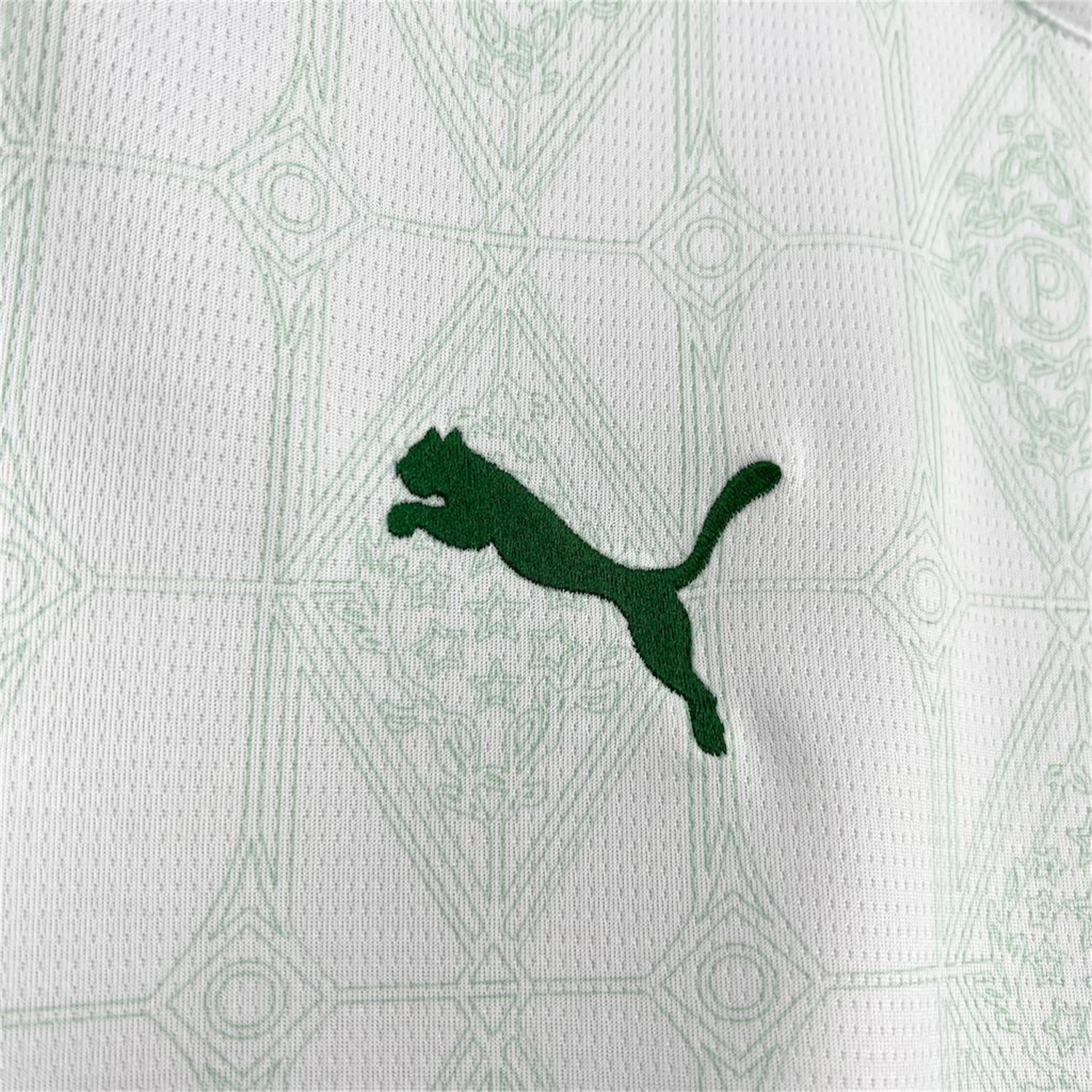 AlphaJersey-Palmeiras 25-26 Away Jersey - Fans Version