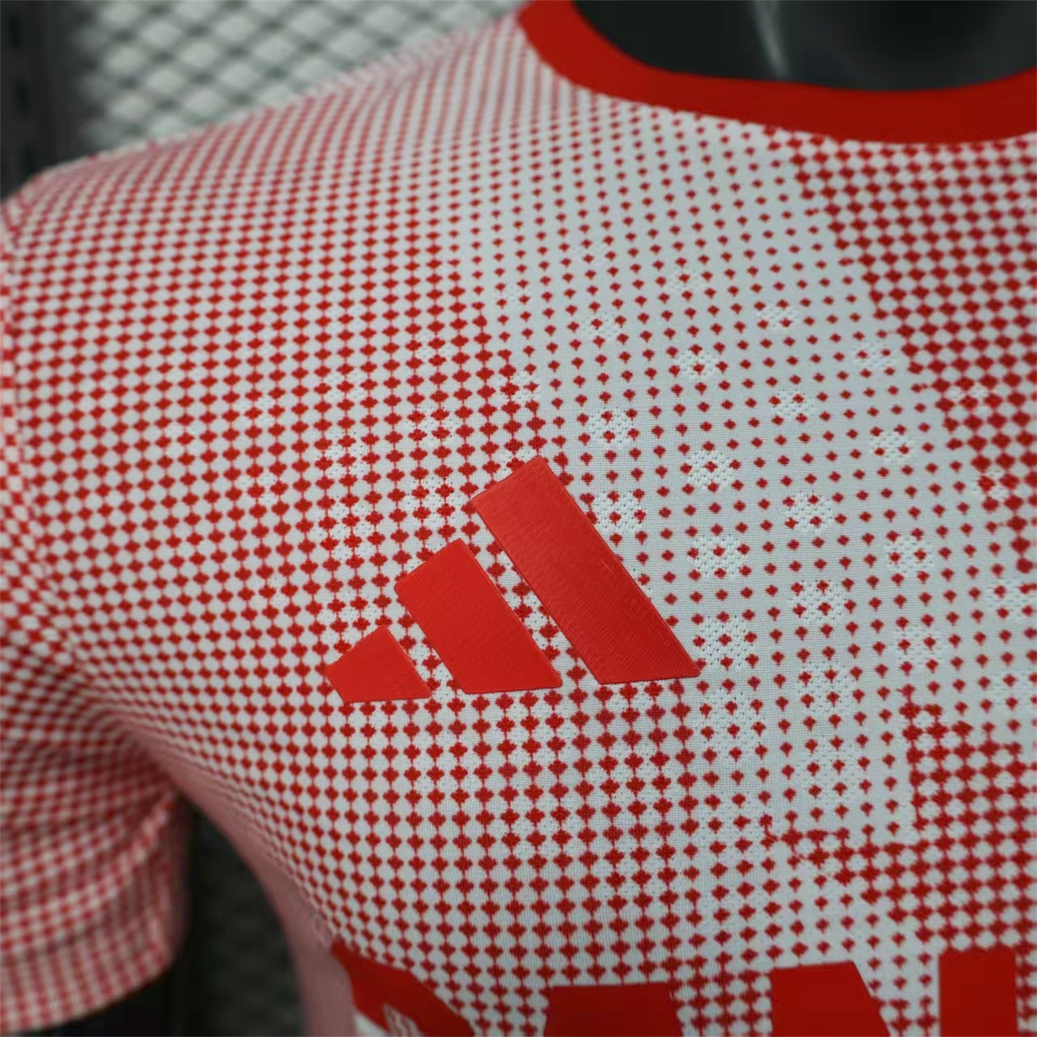 AlphaJersey-Canada 25-26 World Cup Promotion Red Jersey - Player Version