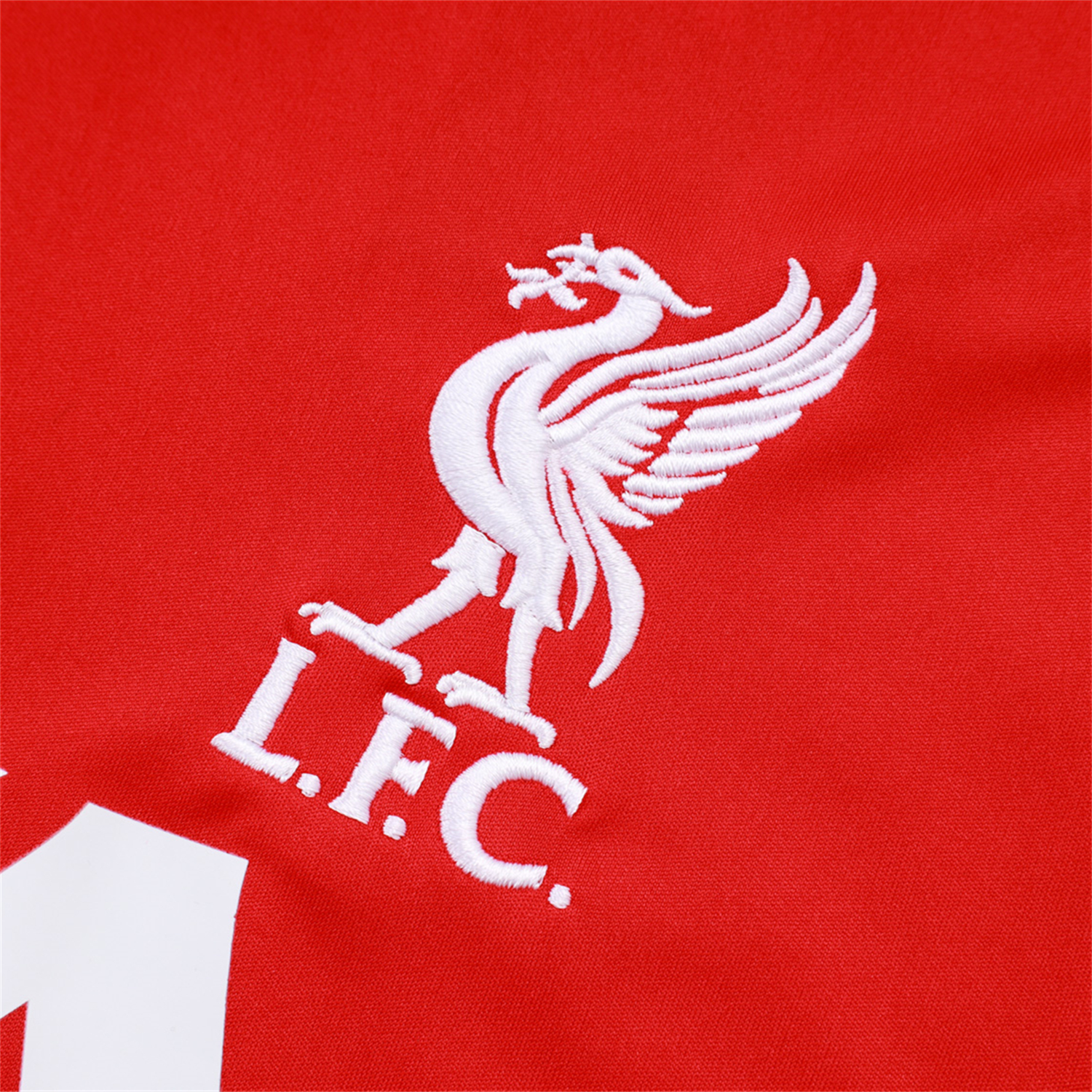 AlphaJersey-Liver.pool 25-26 Vest Training Set - Red Vest & Black Shorts