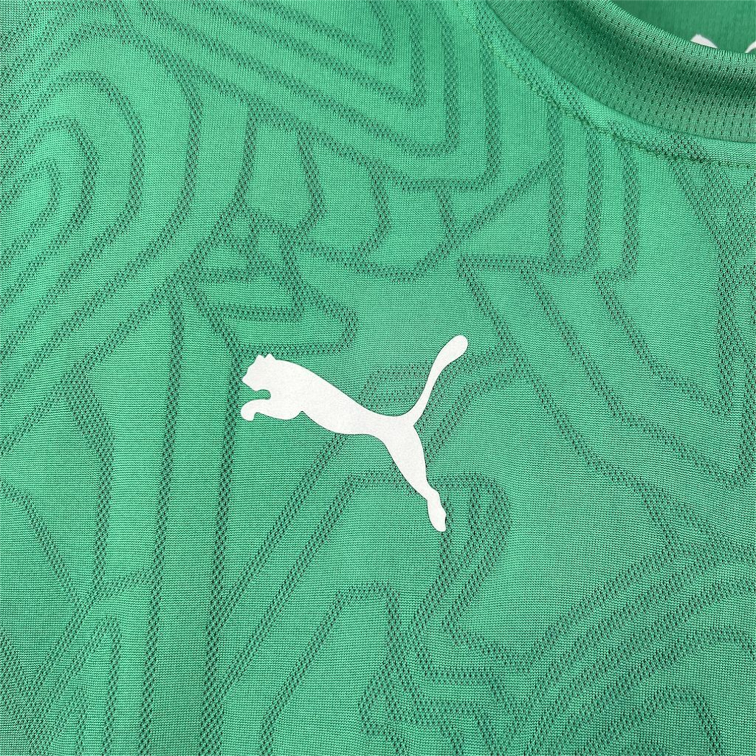 AlphaJersey-Fluminense 26-27 Green Pre-Match Jersey - Fans Version