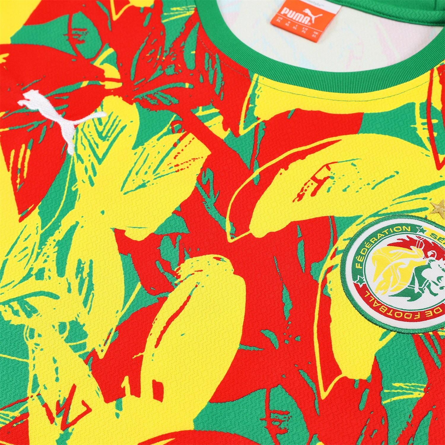AlphaJersey-Senegal 2026 Short-Sleeve Training Set - Variegated Top and Green Shorts