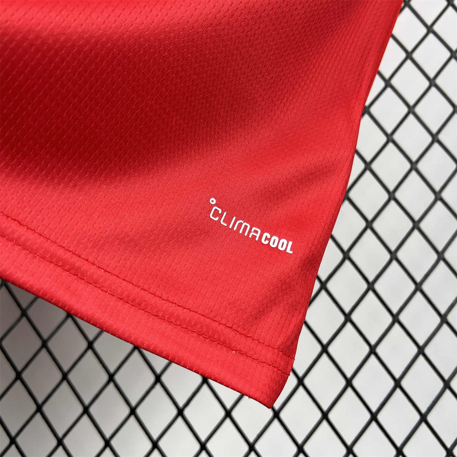 AlphaJersey-Wales 2026 Home Jersey - Fans Version