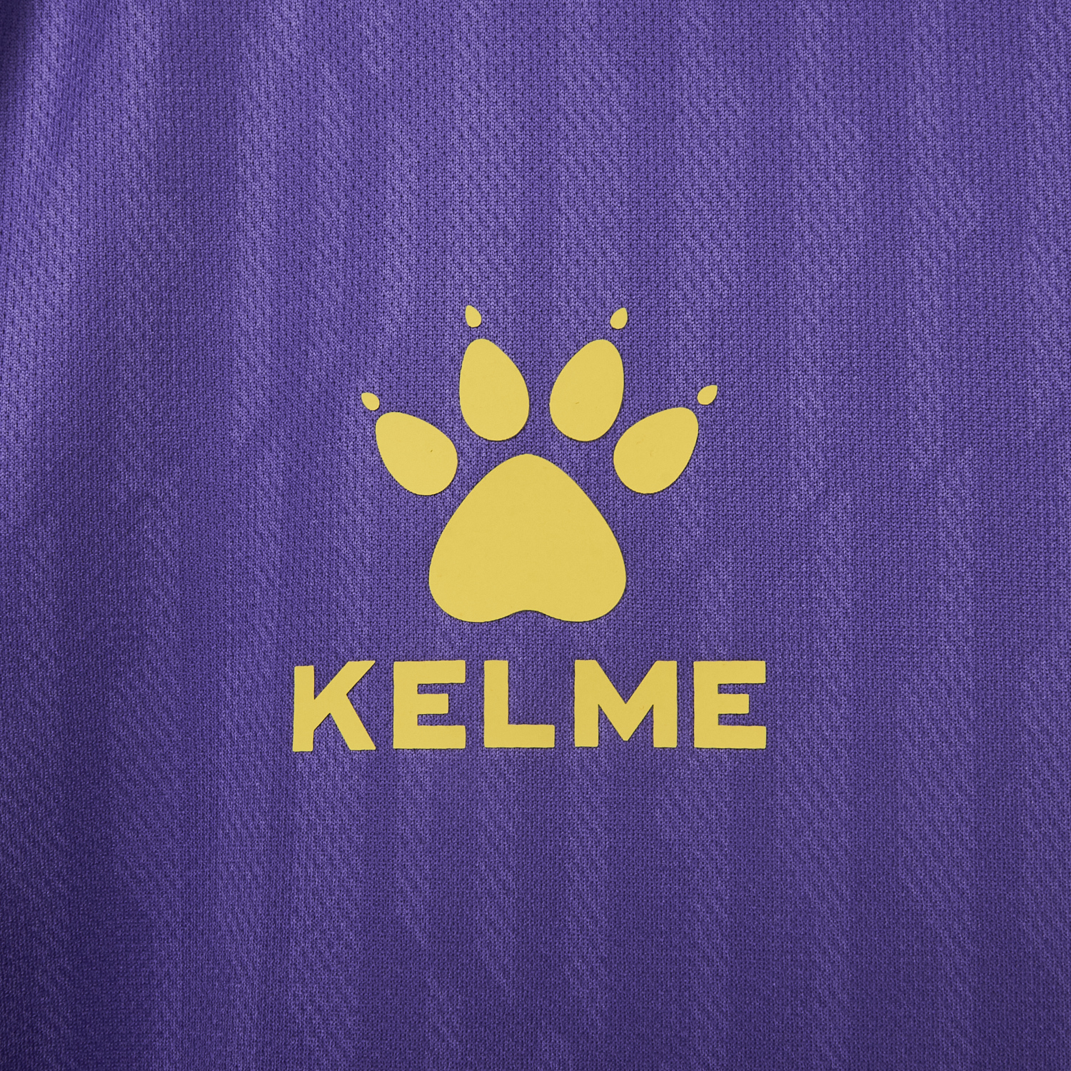 AlphaJersey-Deportes Concepción 25-26 60th Anniversary Edition Jersey - Fans Version