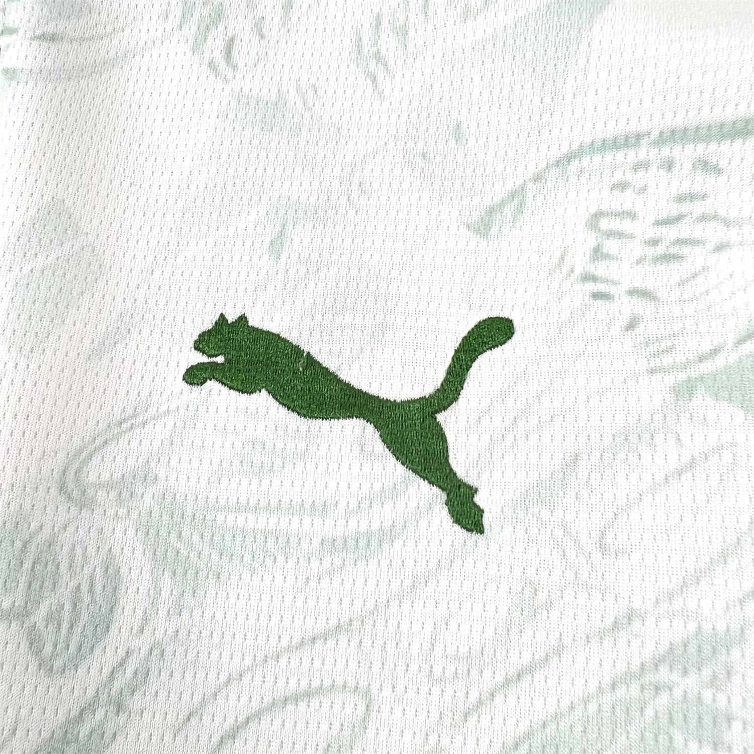 AlphaJersey-Portugal 2026 Pale Mint Green With Moss Green Special Jersey - Fans Version