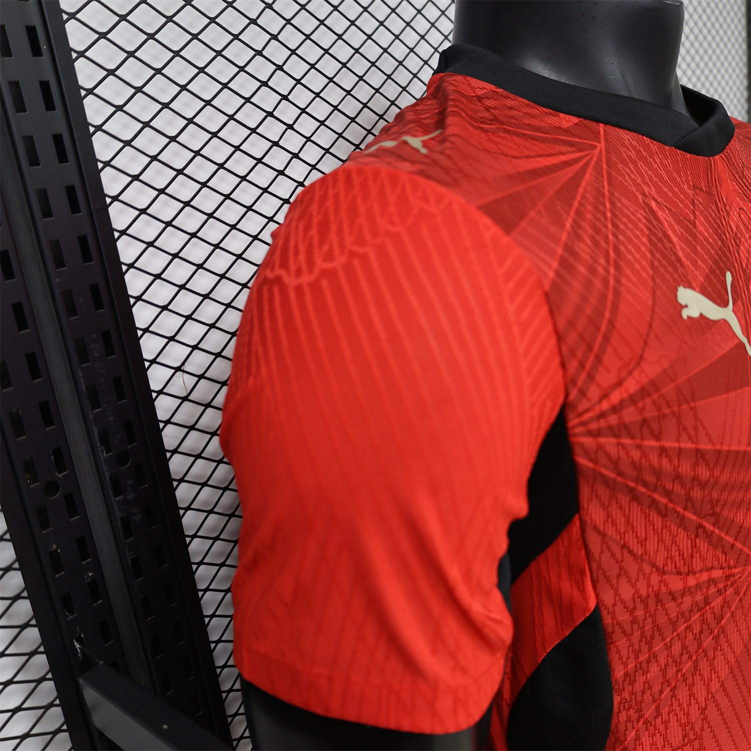 AlphaJersey-Egypt 2026 Home Jersey - Player Version