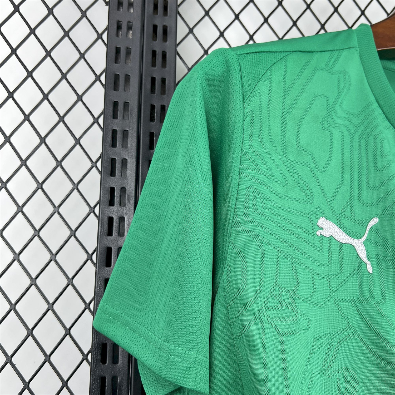 AlphaJersey-Palmeiras 25-26 Green Training Jersey - Fans Version