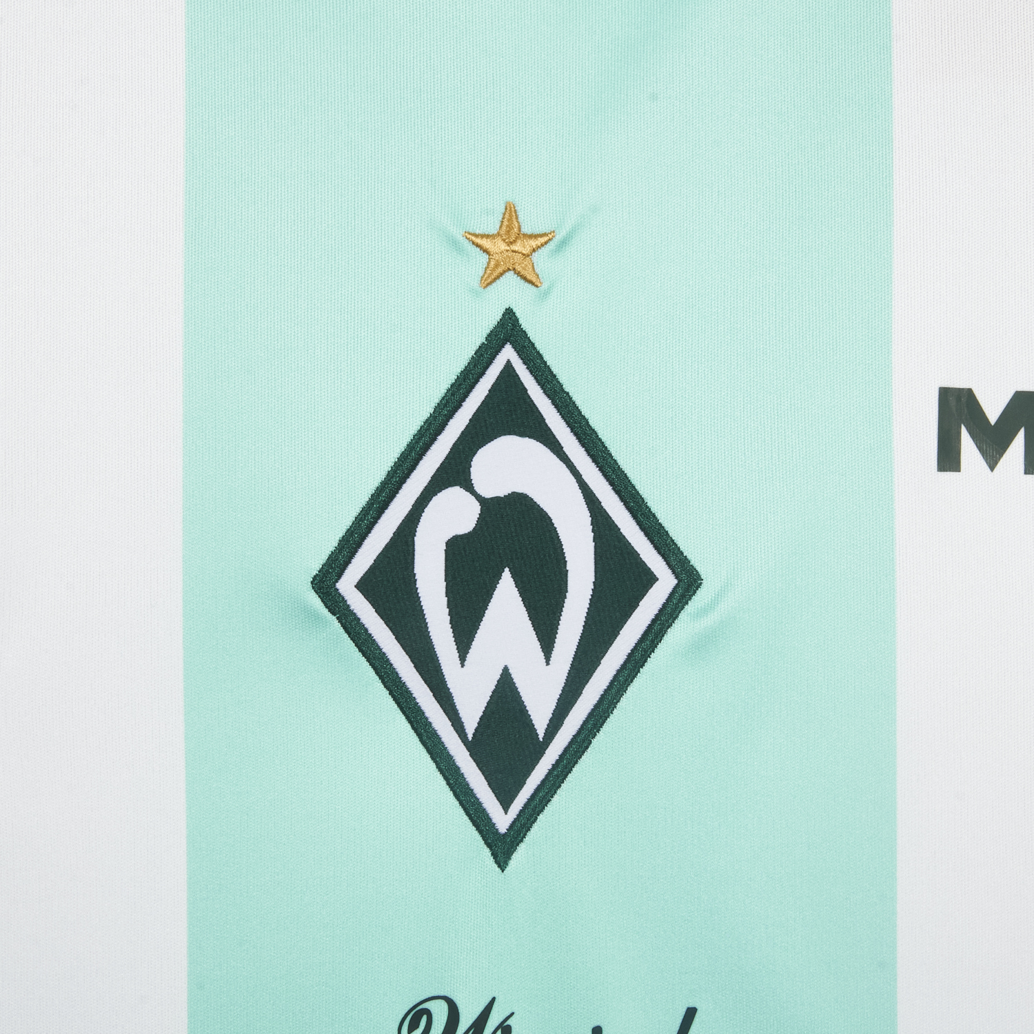 AlphaJersey-Werder Bremen 25-26 Green And White Special Jersey - Fans Version