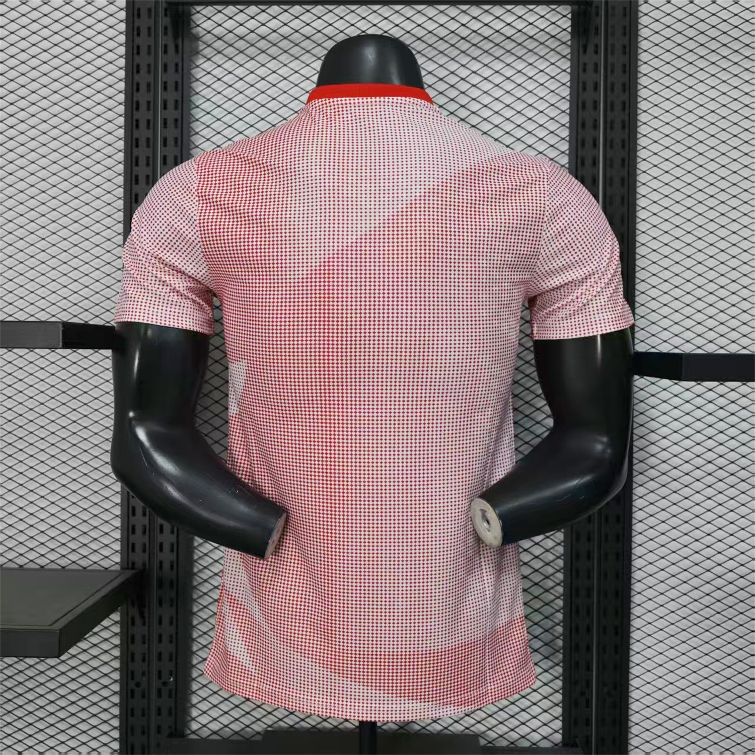 AlphaJersey-Canada 25-26 World Cup Promotion Red Jersey - Player Version