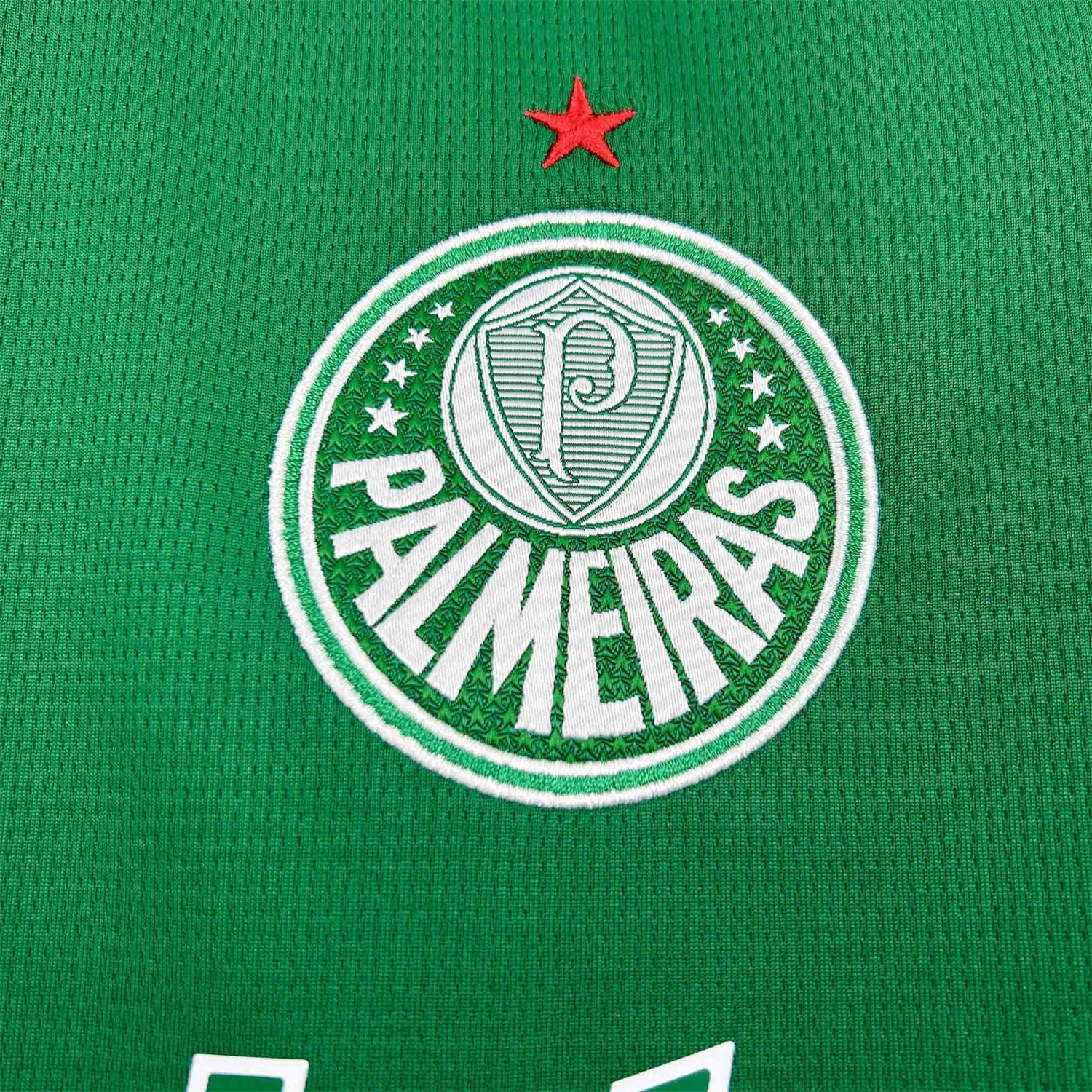 AlphaJersey-Women's Palmeiras 25-26 Home Jersey