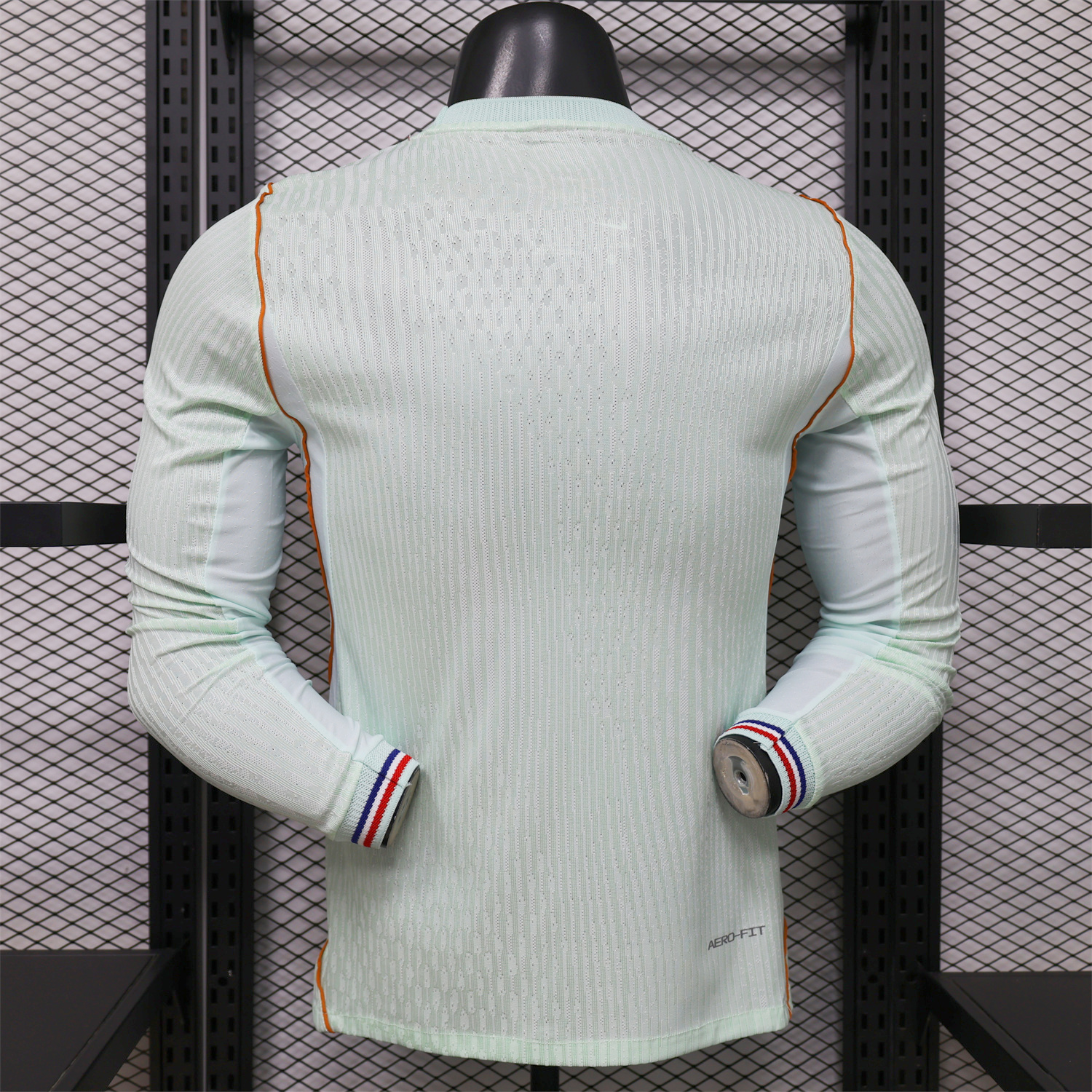 AlphaJersey-France 2026 Away Mint Green Long Sleeves Jersey - Player Version