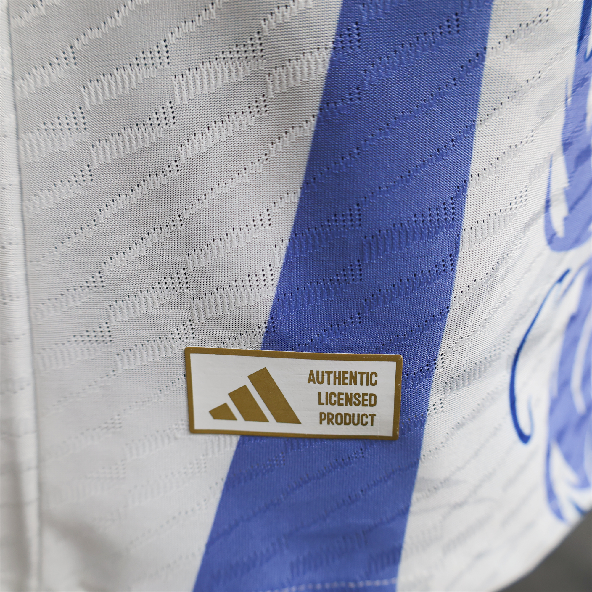 AlphaJersey-Japan 2024 Blue Dragon Special Edition White Jersey - Player Version