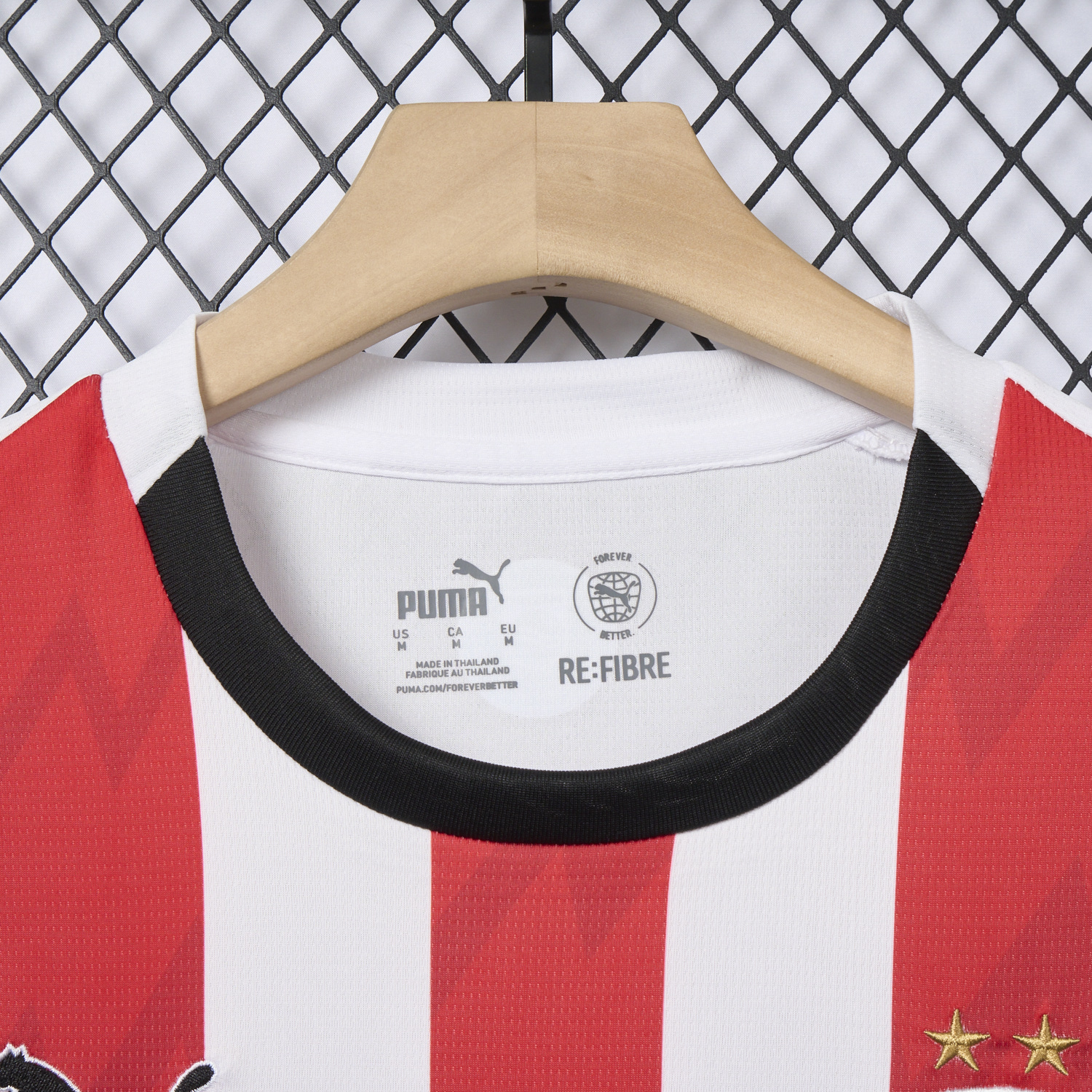 AlphaJersey-PSV Eindhoven 25-26 Home Jersey - Fans Version