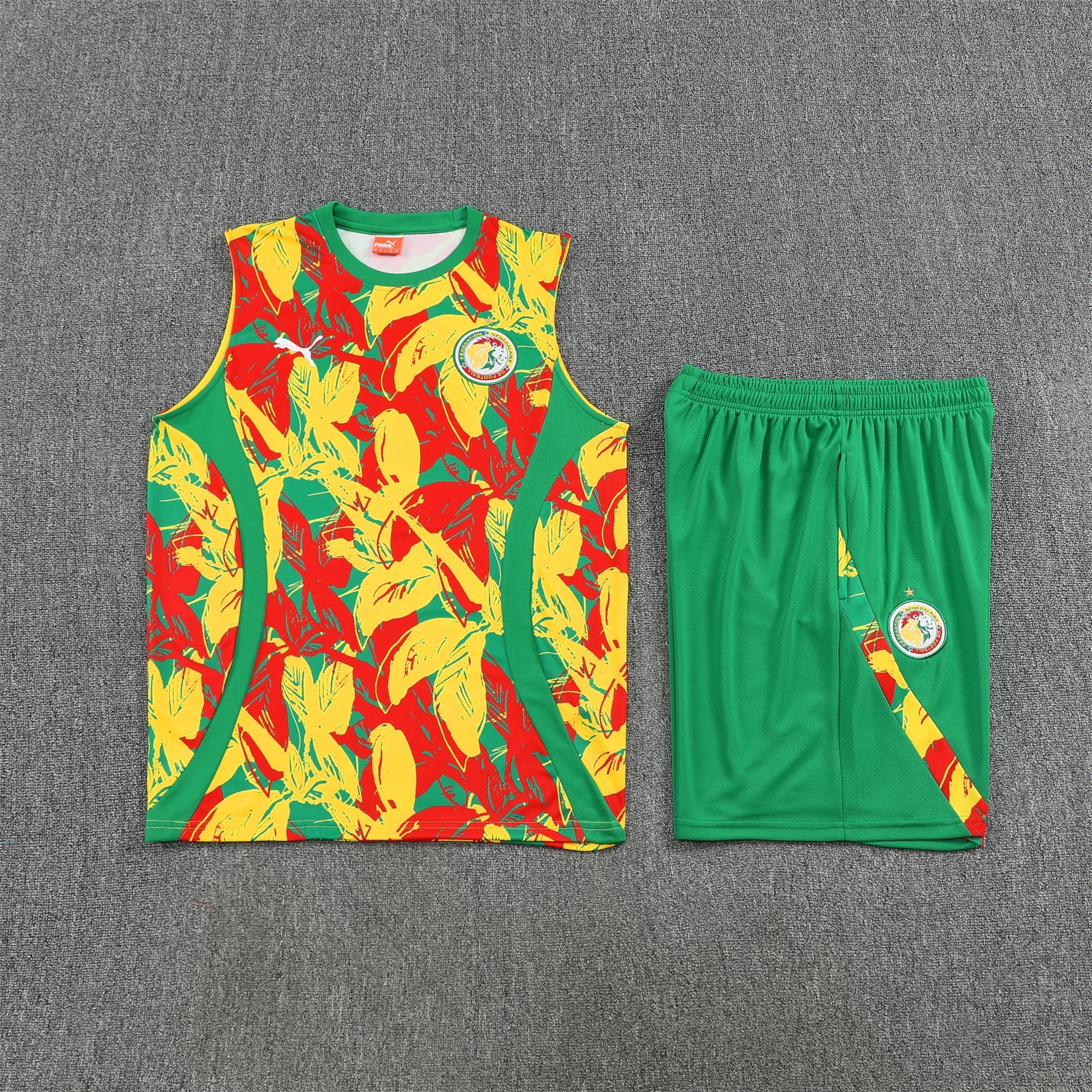 AlphaJersey-Senegal 2026 Vest Training Set - Variegated Vest and Green Shorts