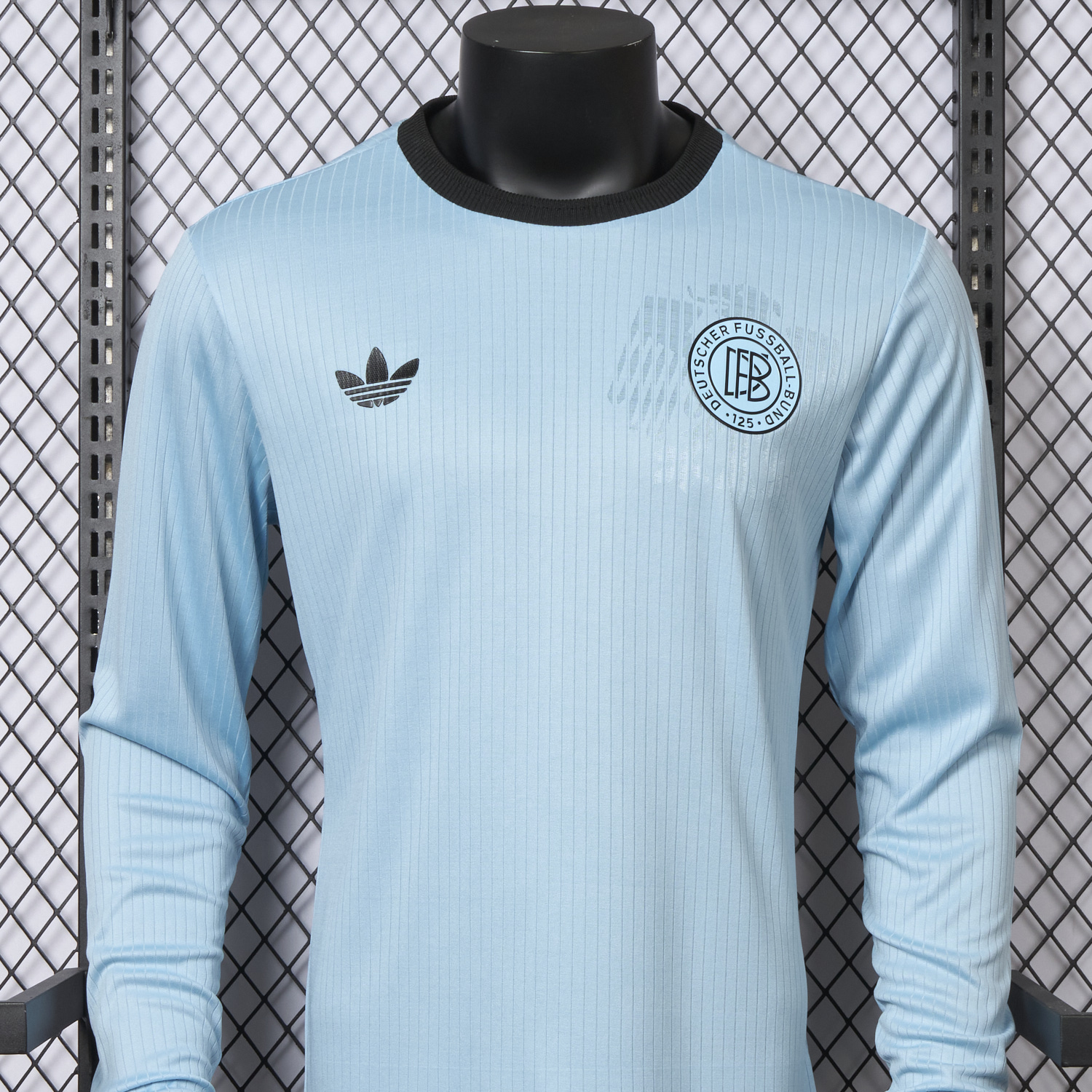 AlphaJersey-Germany 2025 125-Year Anniversary GK Blue Long Sleeve Jersey - Player Version