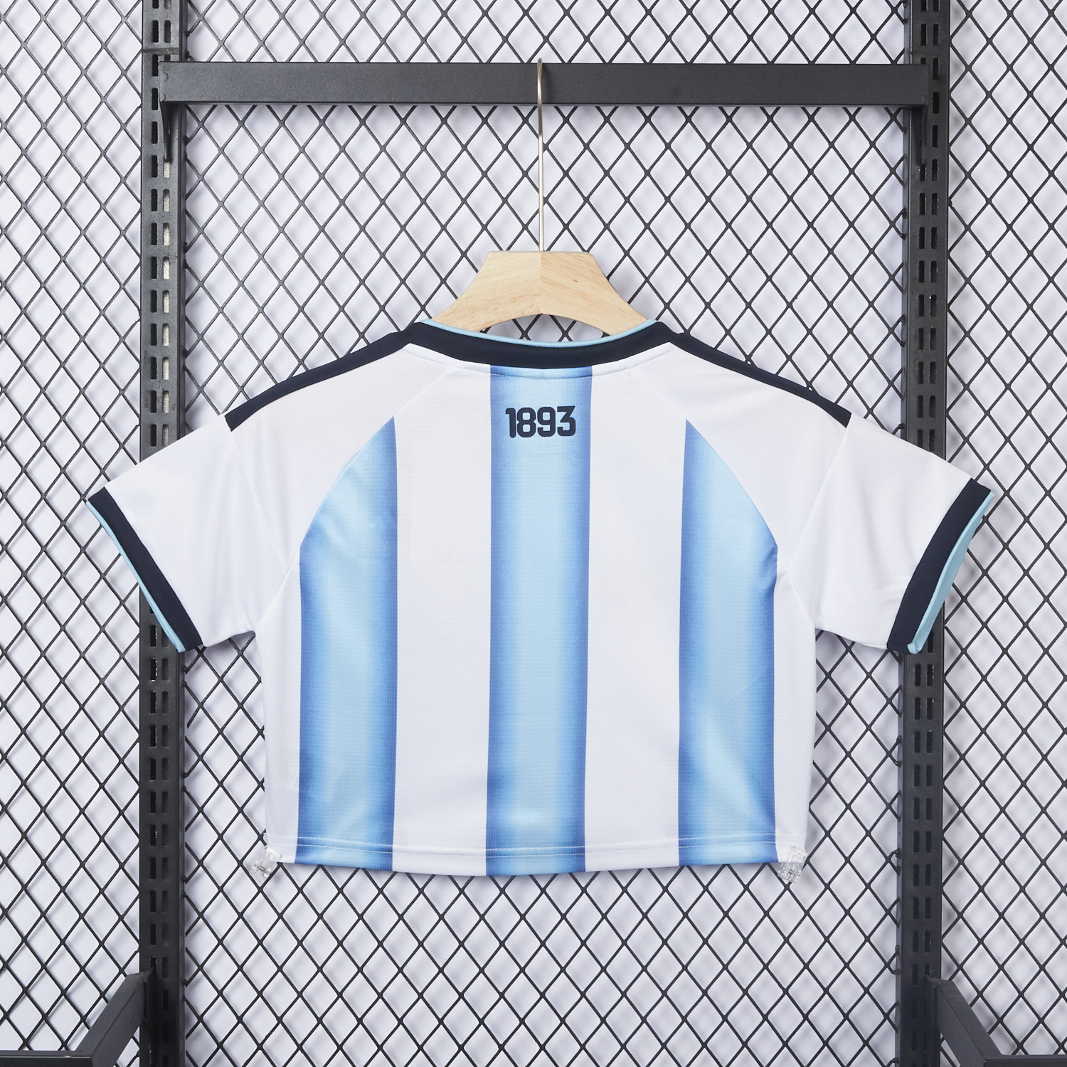 AlphaJersey-Women's Argentina 2026 Home Cropped Jersey