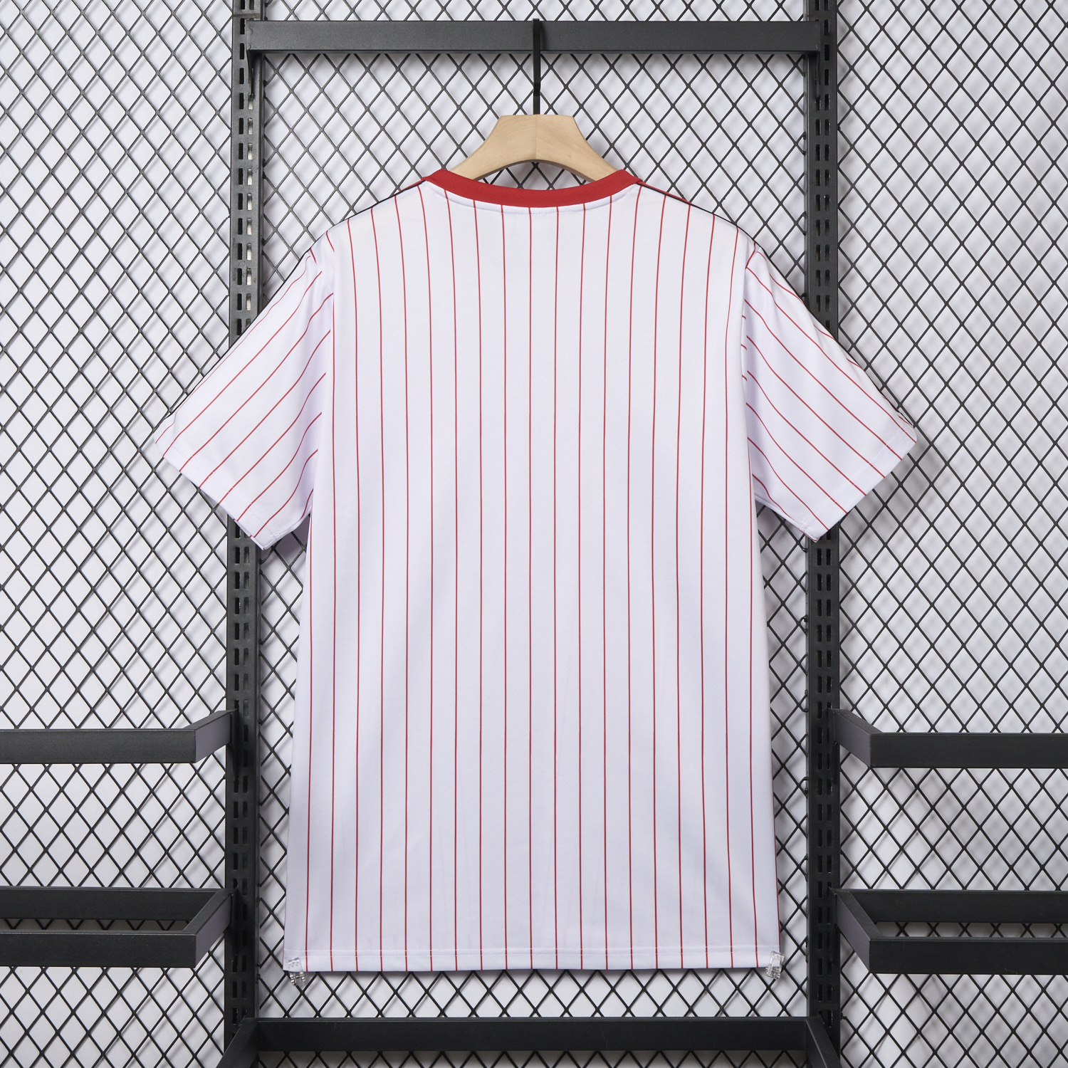 AlphaJersey-Benfica 25-26 Icon Range Travel Special Edition Jersey - Fans Version