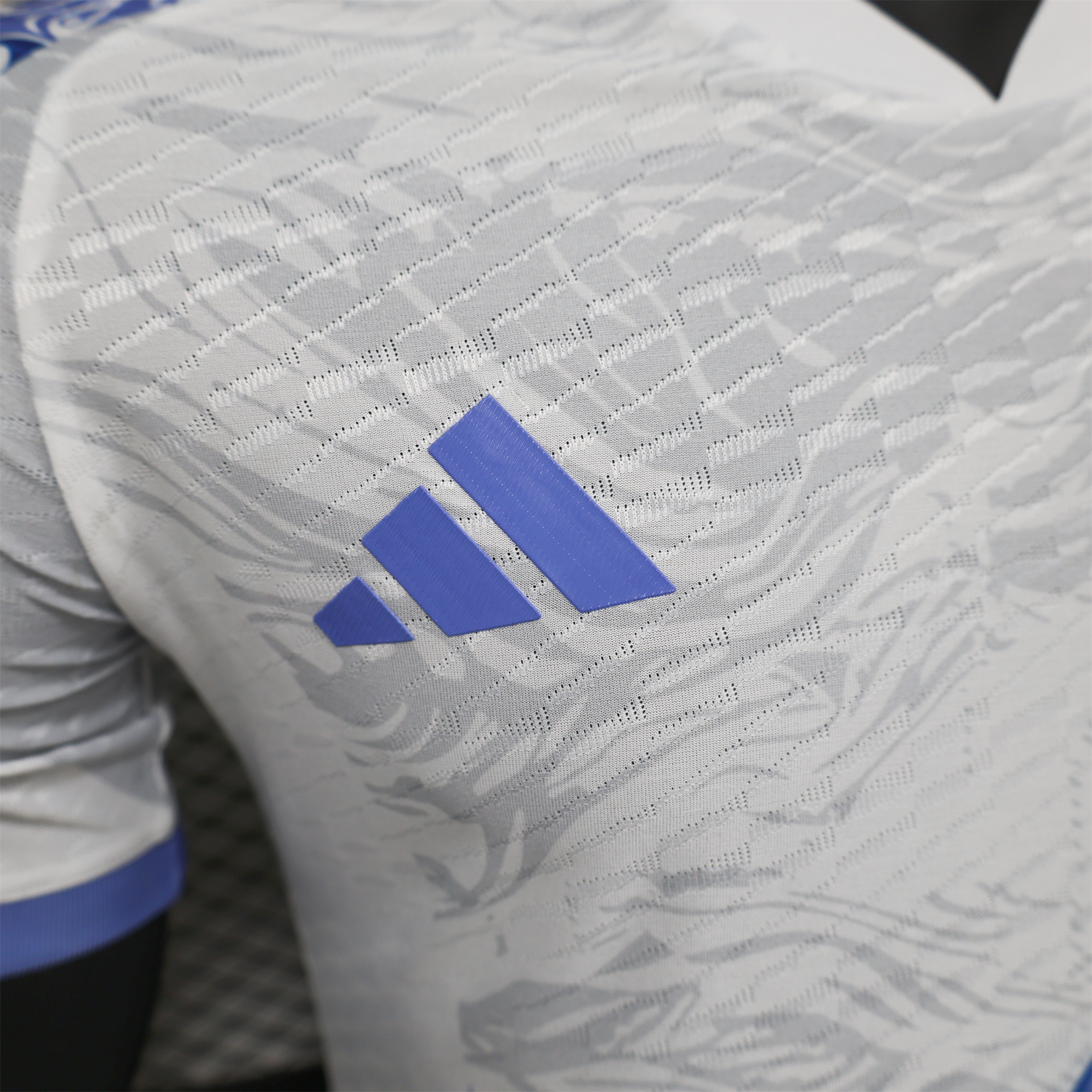 AlphaJersey-Japan 2024 Blue Dragon Special Edition White Jersey - Player Version