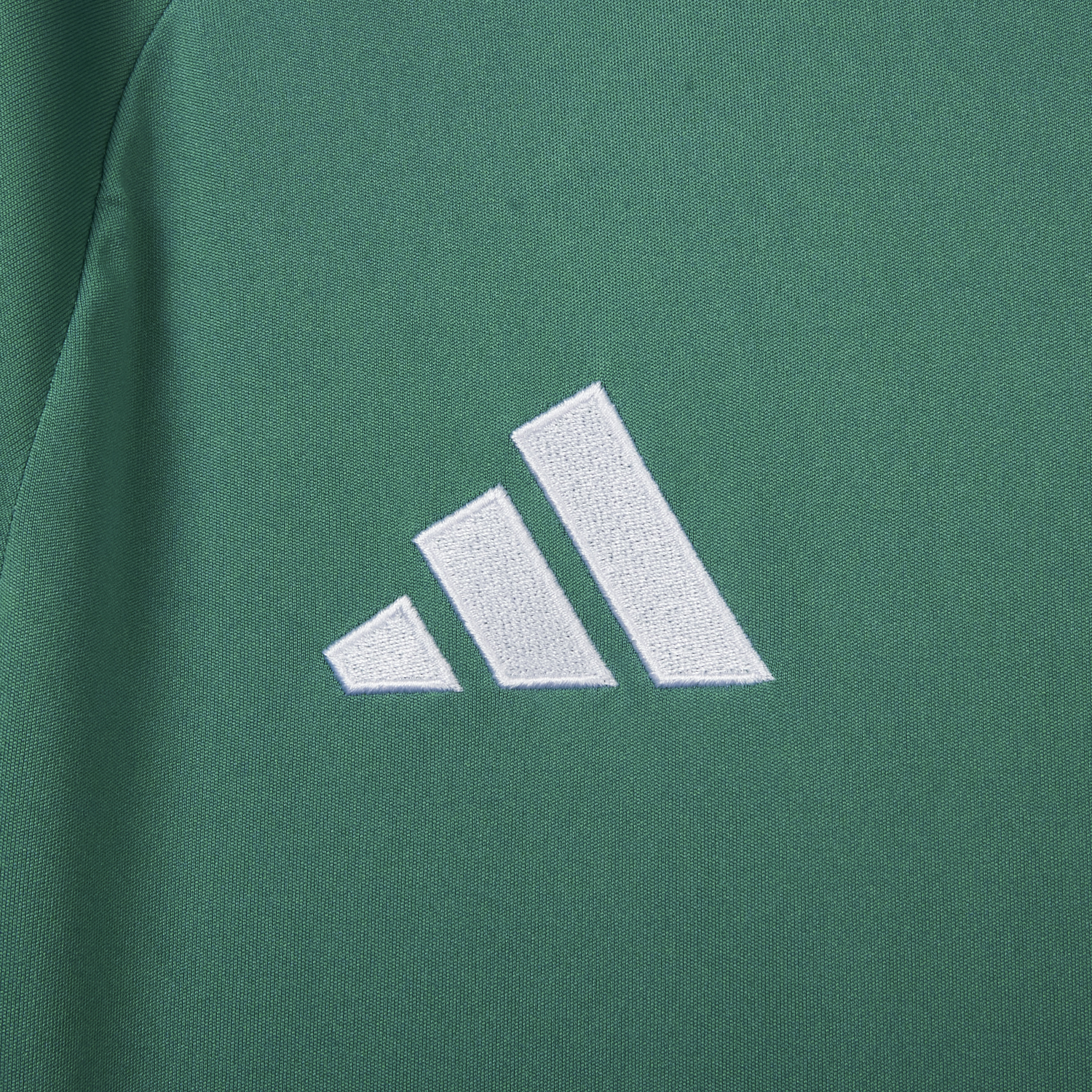 AlphaJersey-Germany 2026 Goalkeeper Green Jersey - Fans Version