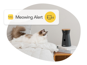 Know when your cat calls for you