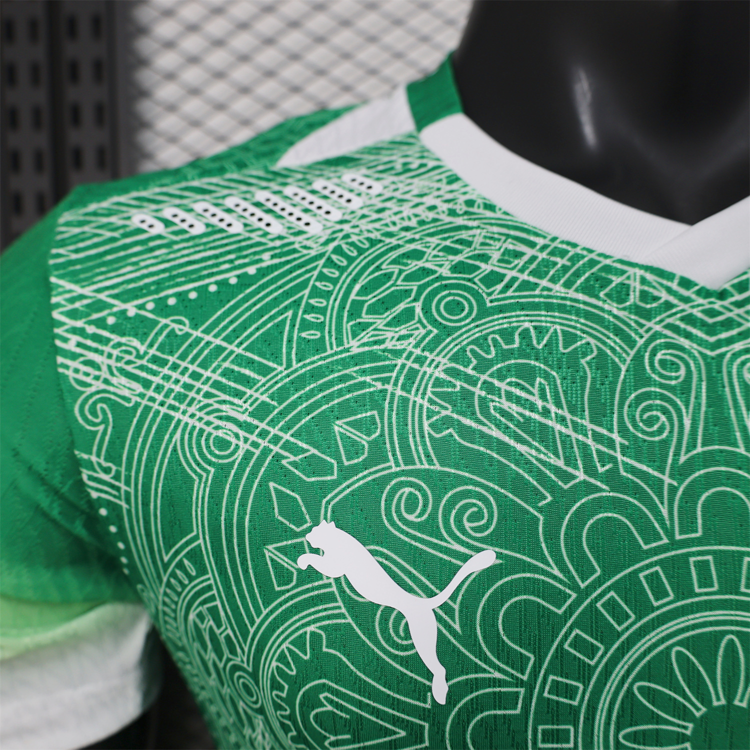 AlphaJersey-Ivory Coast 2026 Green And White Special Jersey - Player Version