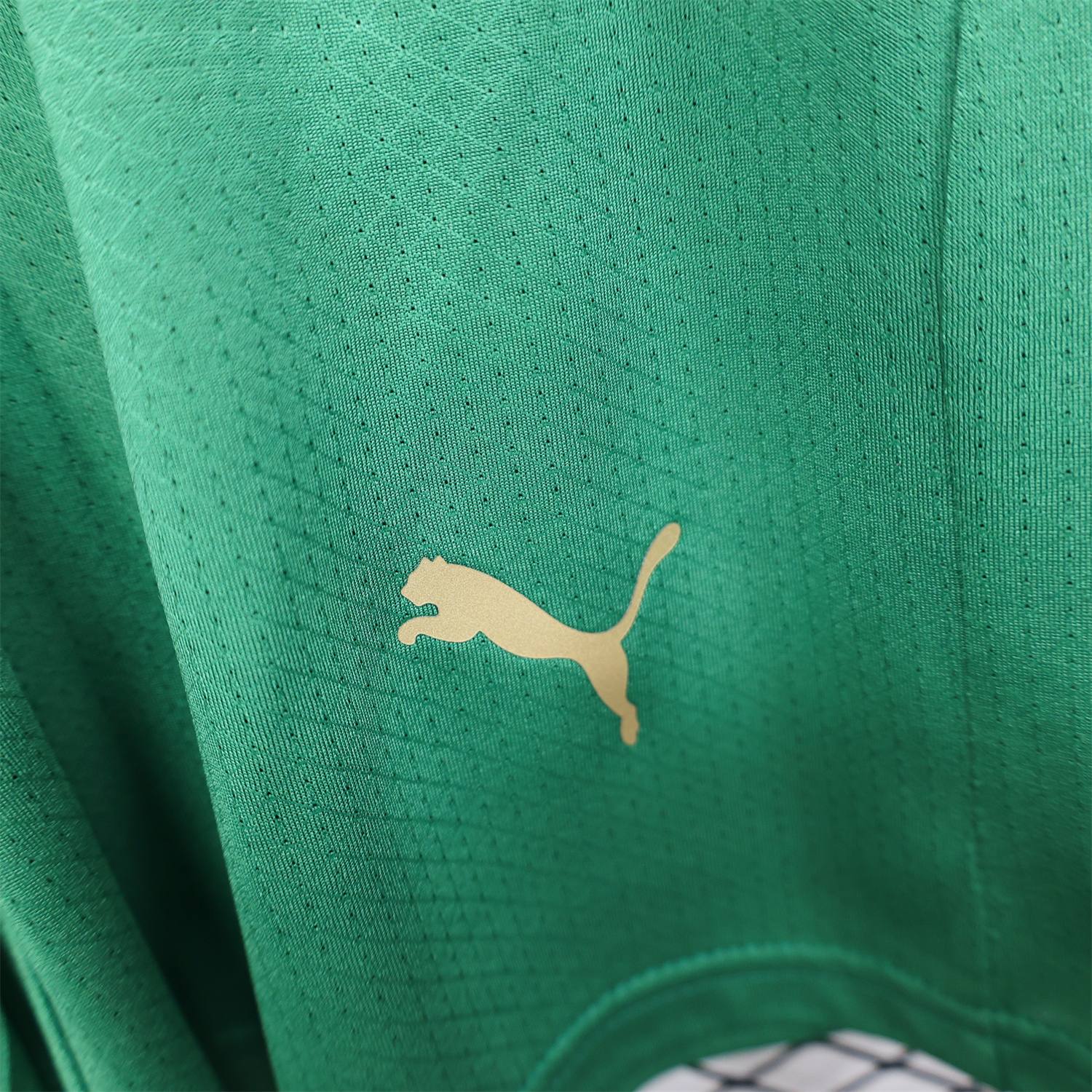 AlphaJersey-Morocco 2026 Home Green Shorts - Player Version
