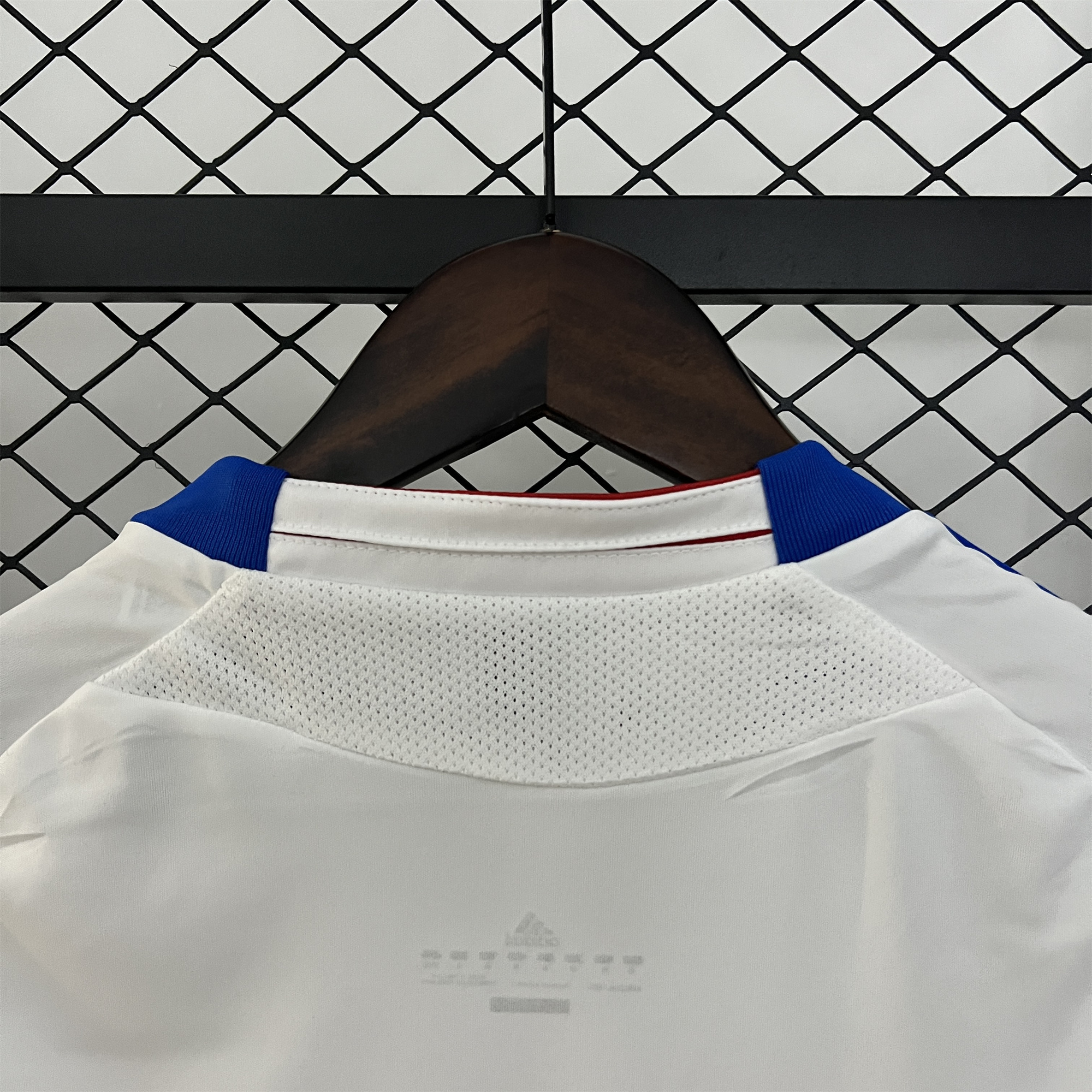AlphaJersey-Retro Olympique Lyonnais Lyon 2010-11 Home Jersey